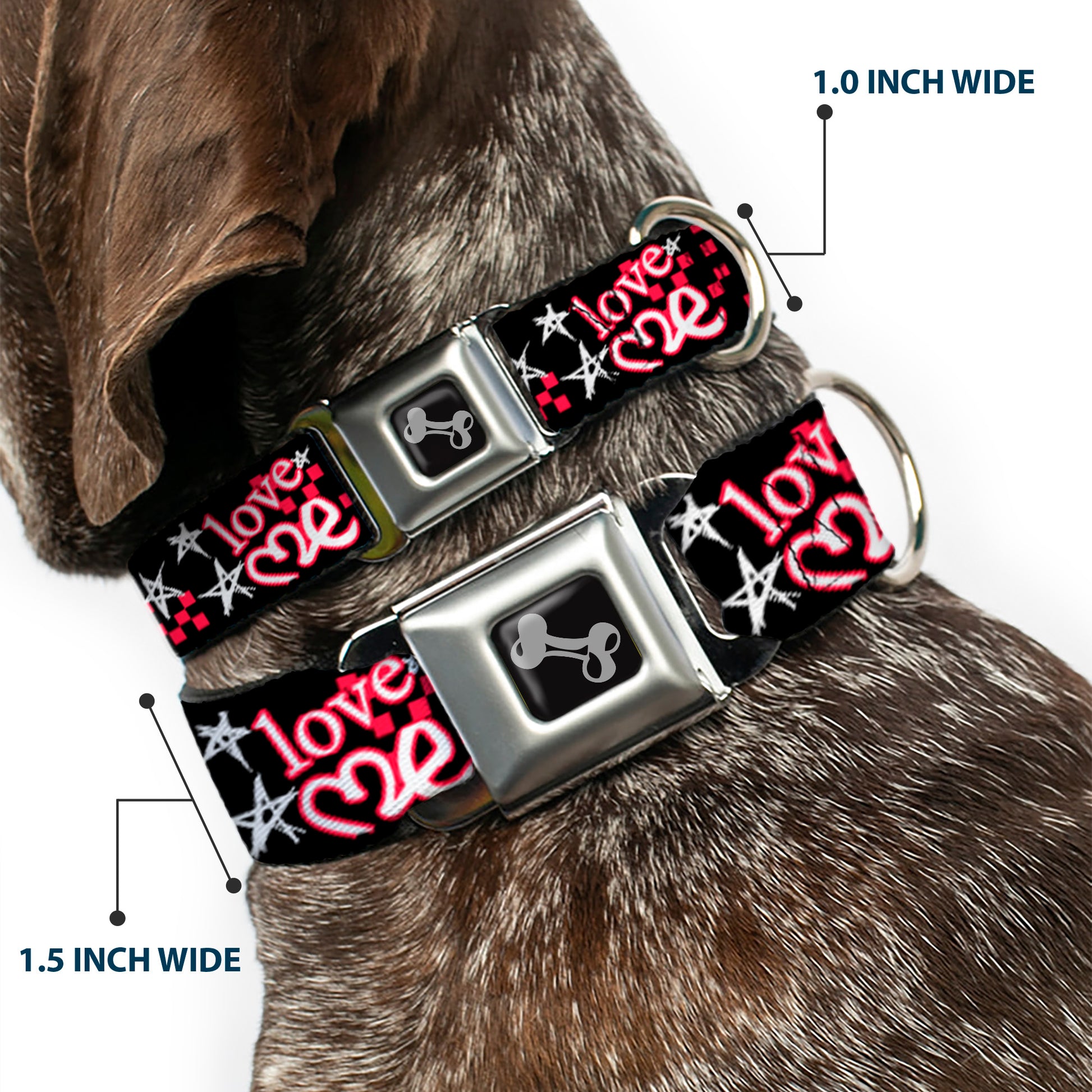 Dog Bone Seatbelt Buckle Collar - Love Me w/Sketch Stars & Checkers Black/Fuchsia/White Seatbelt Buckle Collars Buckle-Down