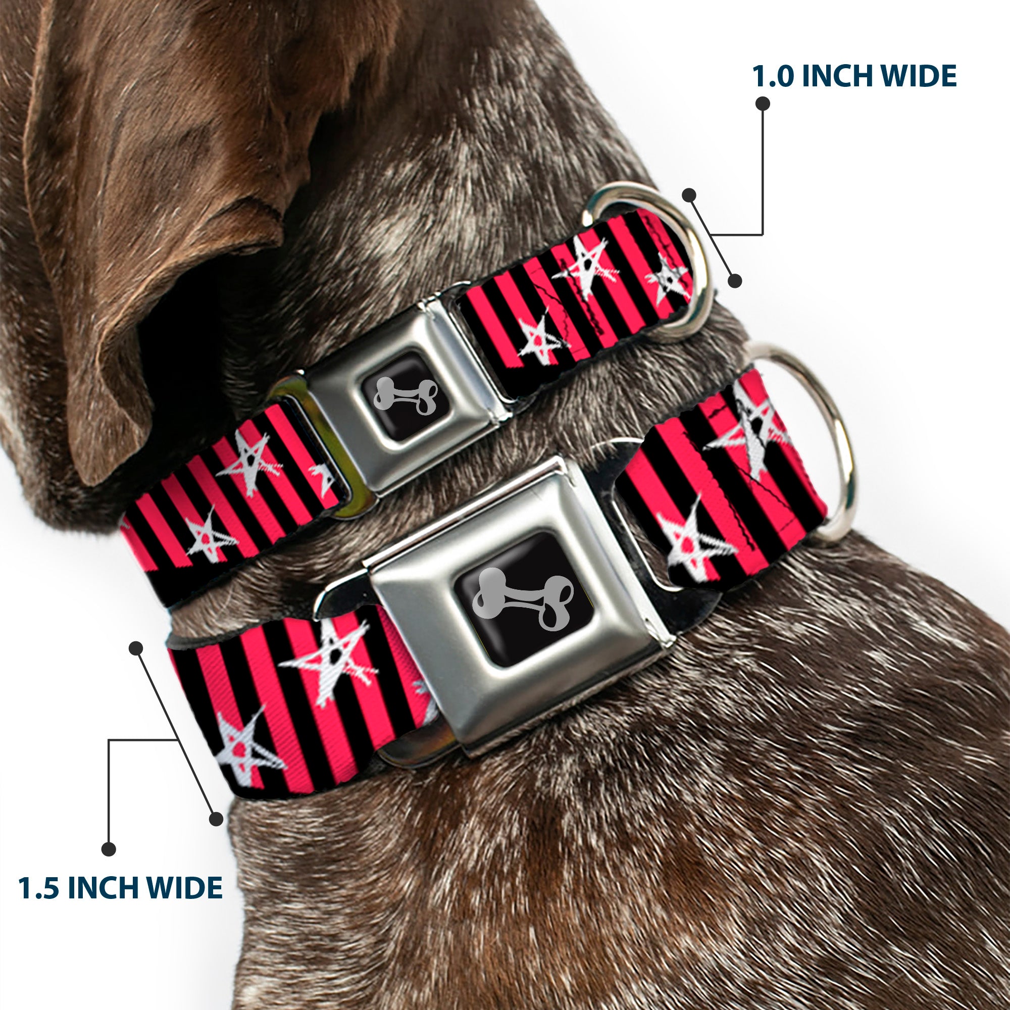 Dog Bone Seatbelt Buckle Collar - Love Me w/Sketch Stars & Stripes Black/Fuchsia/White Seatbelt Buckle Collars Buckle-Down