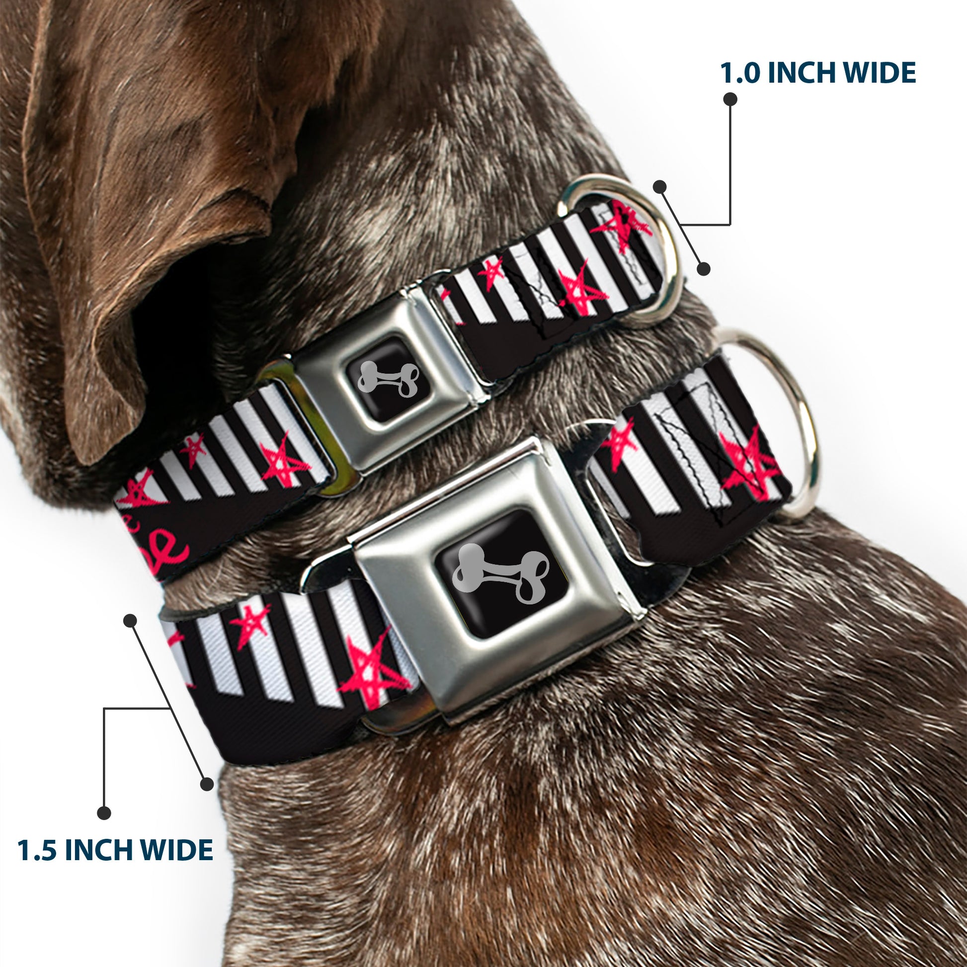 Dog Bone Black/Silver Seatbelt Buckle Collar - Love Me w/Sketch Stars & Stripes Black/White/Fuchsia Seatbelt Buckle Collars Buckle-Down