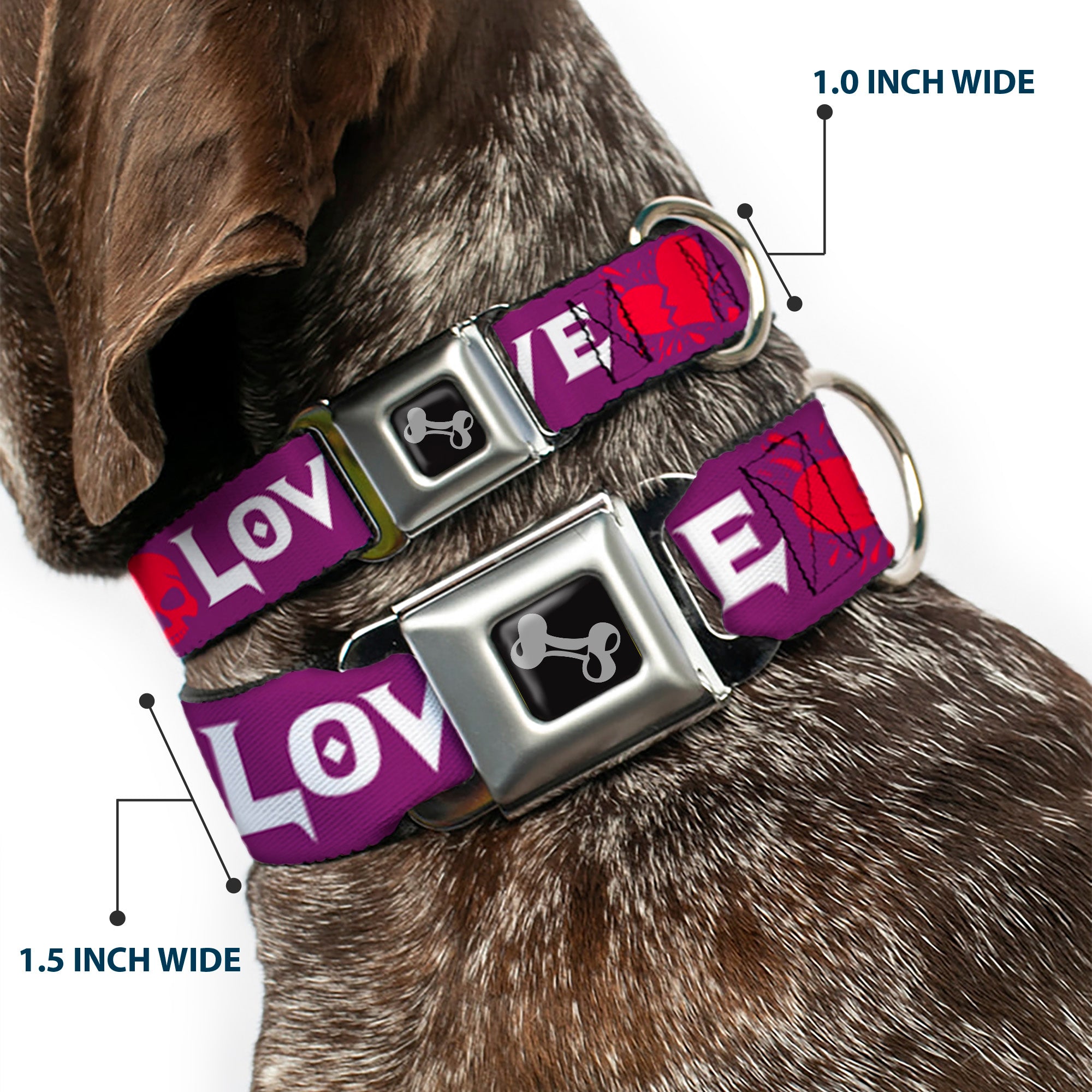 Dog Bone Seatbelt Buckle Collar - Love/Hate Purple/White/Fuchsia Seatbelt Buckle Collars Buckle-Down