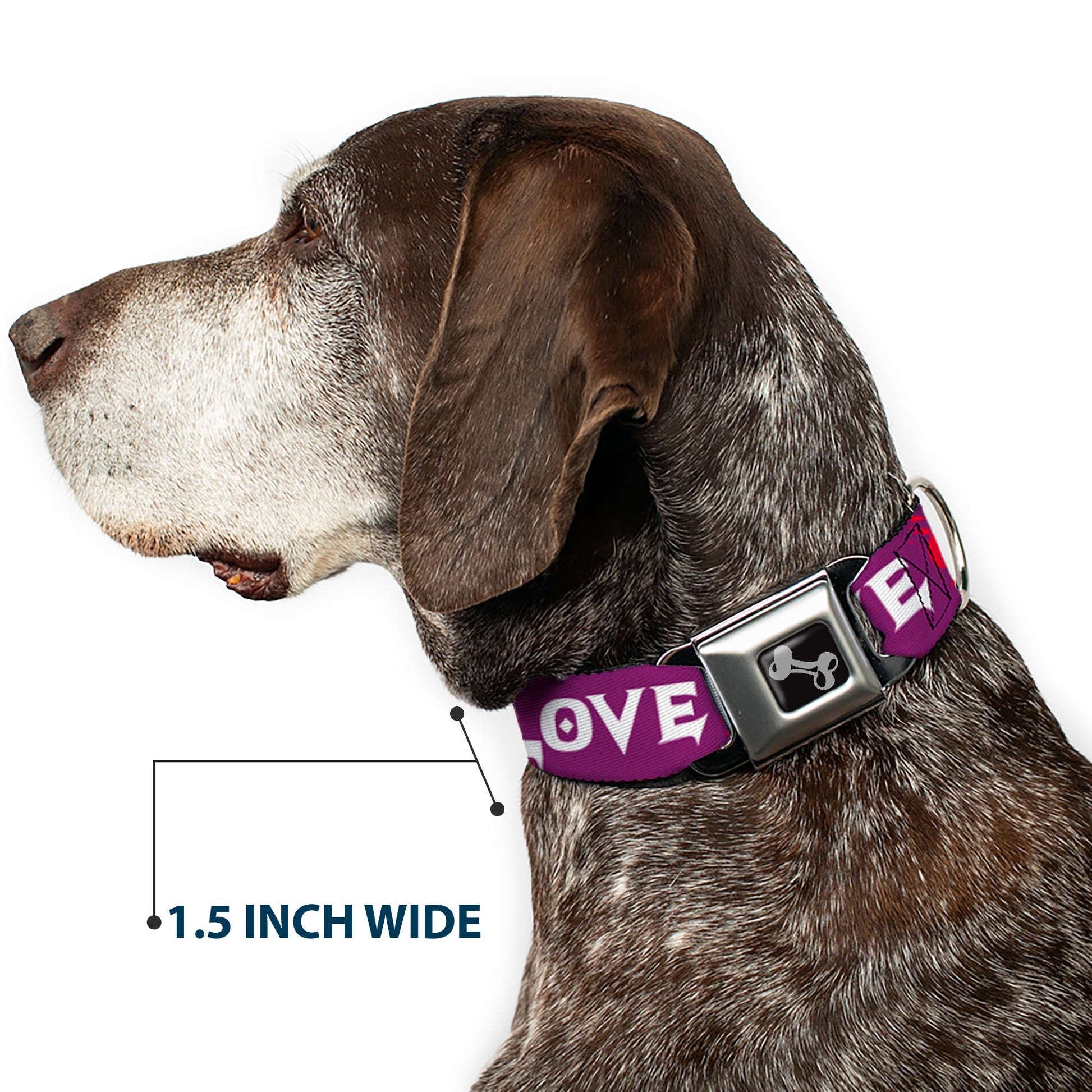 Dog Bone Seatbelt Buckle Collar - Love/Hate Purple/White/Fuchsia Seatbelt Buckle Collars Buckle-Down