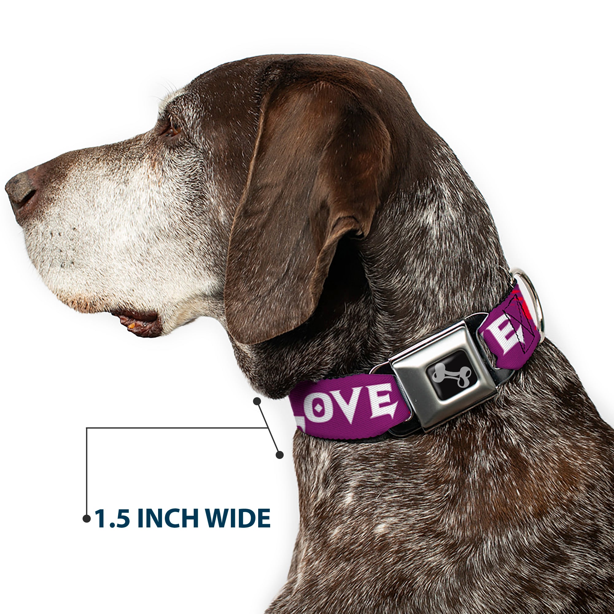 Dog Bone Seatbelt Buckle Collar - Love/Hate Purple/White/Fuchsia Seatbelt Buckle Collars Buckle-Down