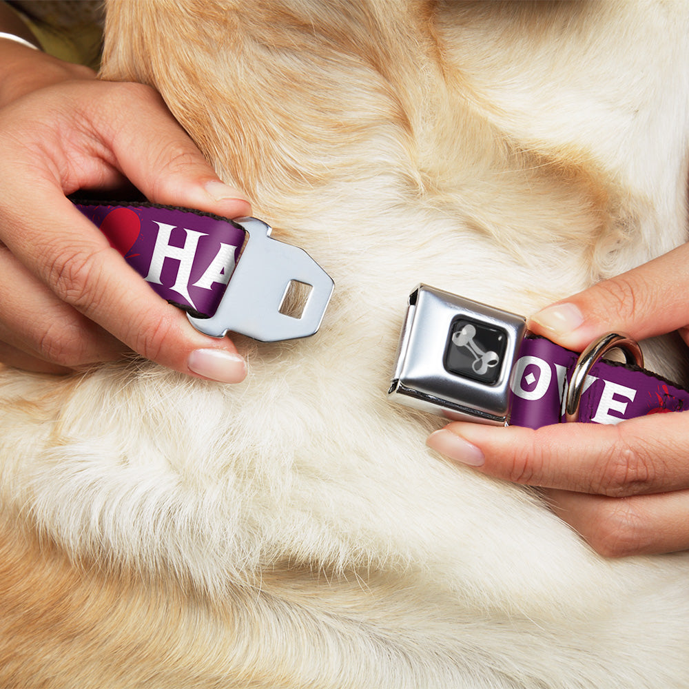 Dog Bone Seatbelt Buckle Collar - Love/Hate Purple/White/Fuchsia Seatbelt Buckle Collars Buckle-Down