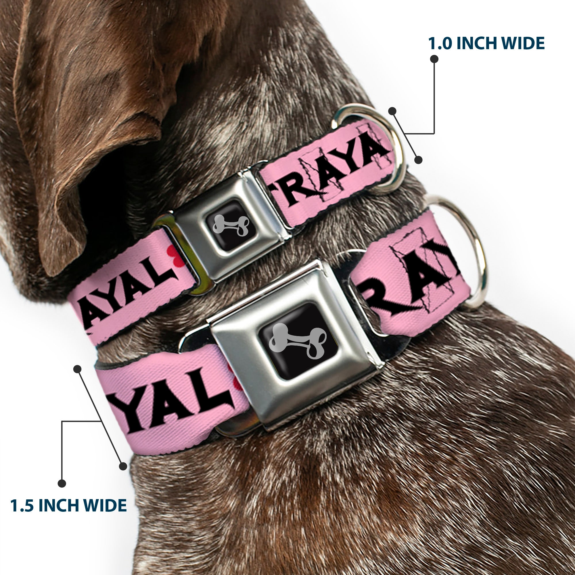 Dog Bone Seatbelt Buckle Collar - Love/Hate/Betrayal Pink/Black/Fuchsia Seatbelt Buckle Collars Buckle-Down