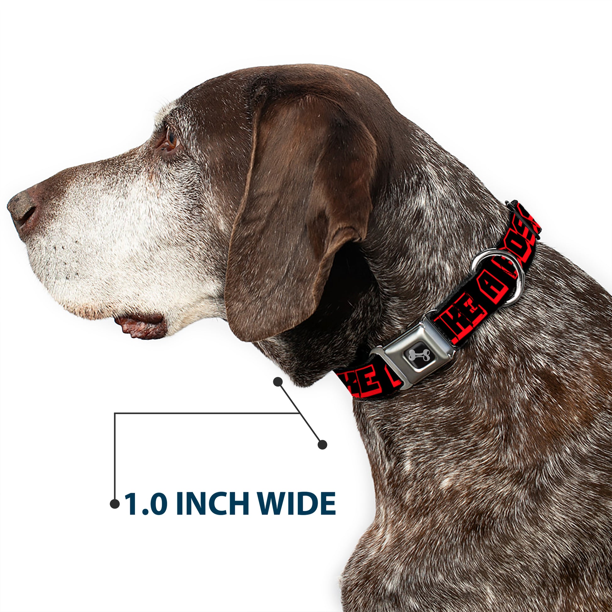 Dog Bone Seatbelt Buckle Collar - LIKE A BOSS Black/Red Seatbelt Buckle Collars Buckle-Down