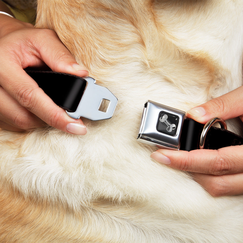 Buckle-Down Seatbelt Buckle Dog Collar - LETS DUB TO F**K STEP Black/White Seatbelt Buckle Collars Buckle-Down