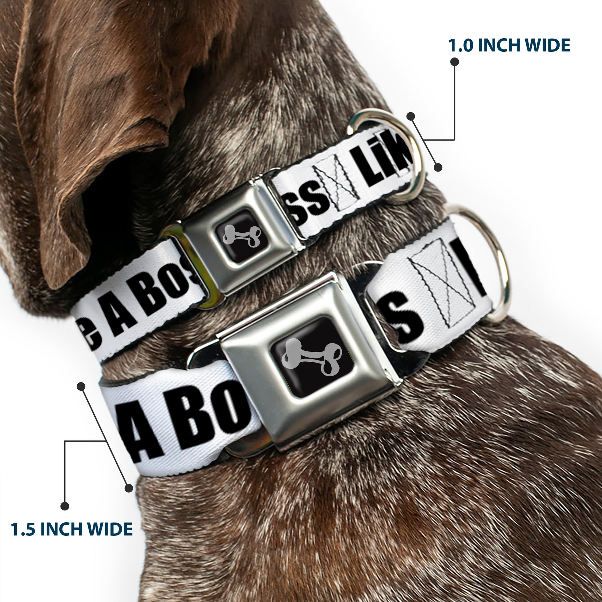 Dog Bone Seatbelt Buckle Collar - LIKE A BOSS White/Black Seatbelt Buckle Collars Buckle-Down