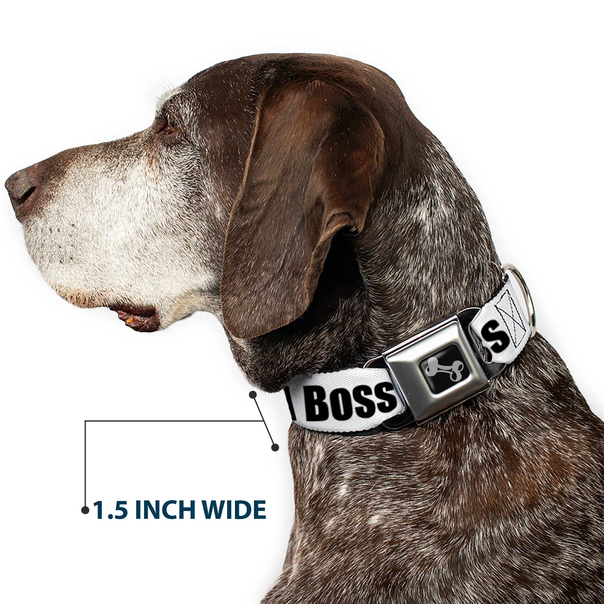 Dog Bone Seatbelt Buckle Collar - LIKE A BOSS White/Black Seatbelt Buckle Collars Buckle-Down