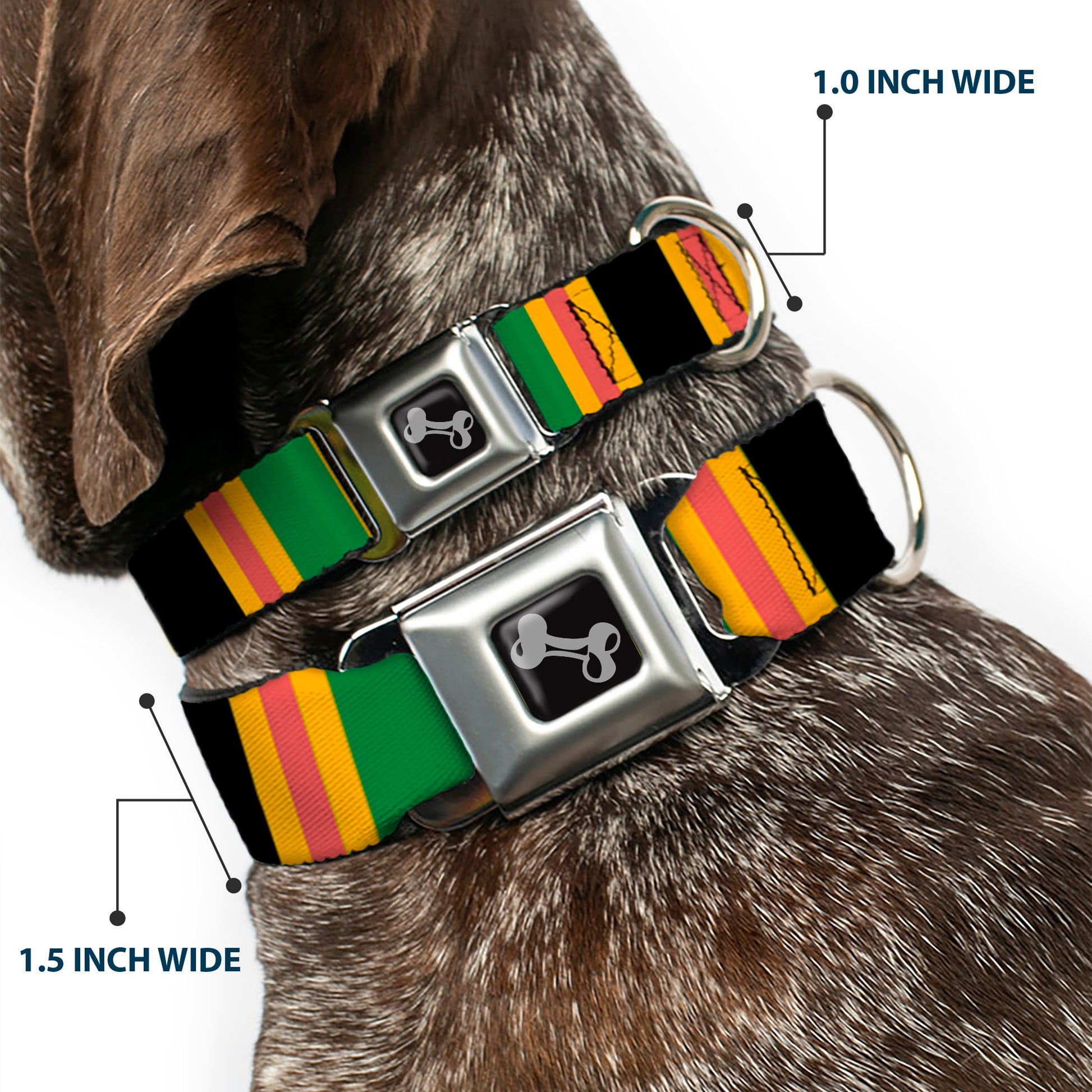 Dog Bone Seatbelt Buckle Collar - Lines Black/Gold/Pink/Green Seatbelt Buckle Collars Buckle-Down