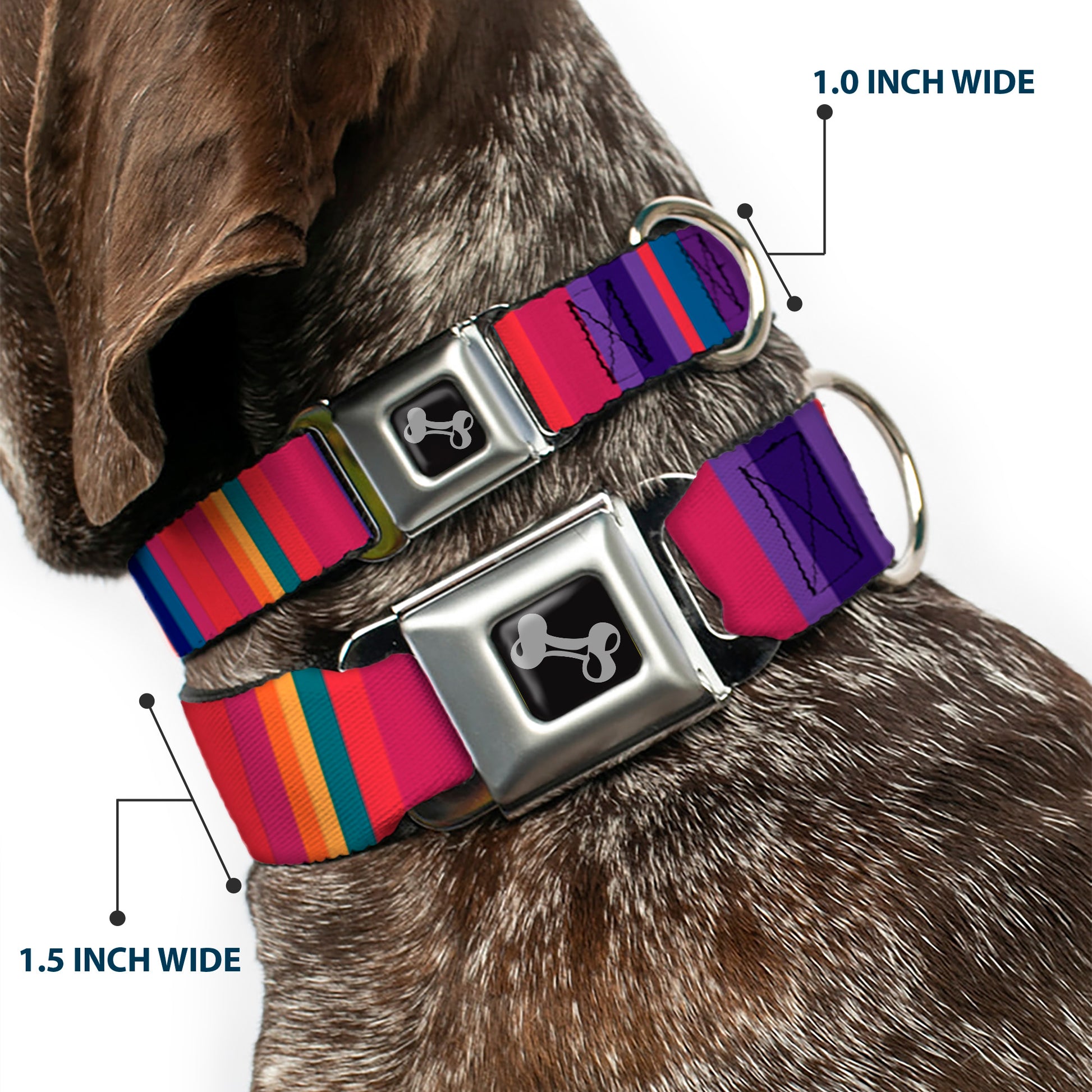 Dog Bone Seatbelt Buckle Collar - Lines Reds/Purples Seatbelt Buckle Collars Buckle-Down