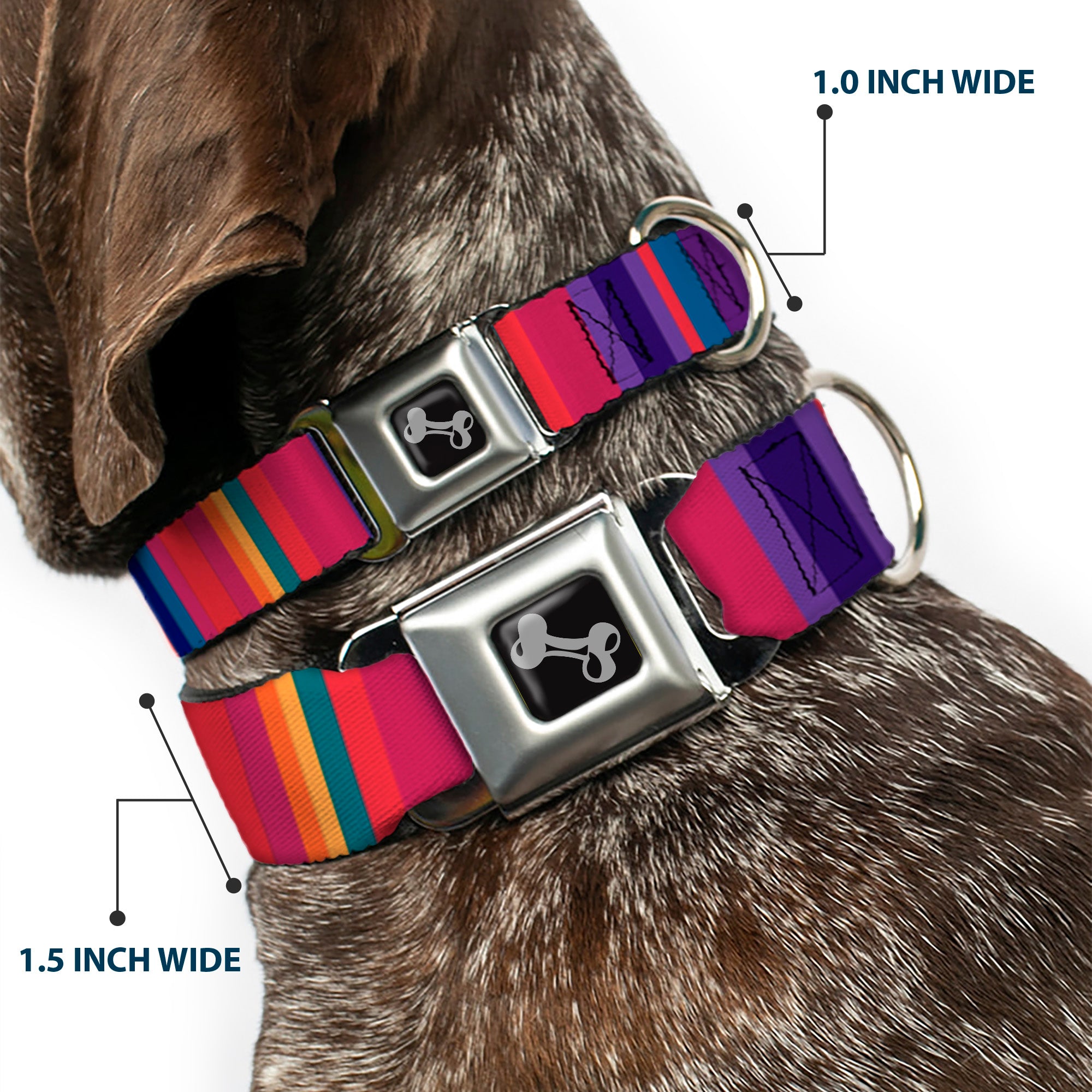 Dog Bone Seatbelt Buckle Collar - Lines Reds/Purples Seatbelt Buckle Collars Buckle-Down