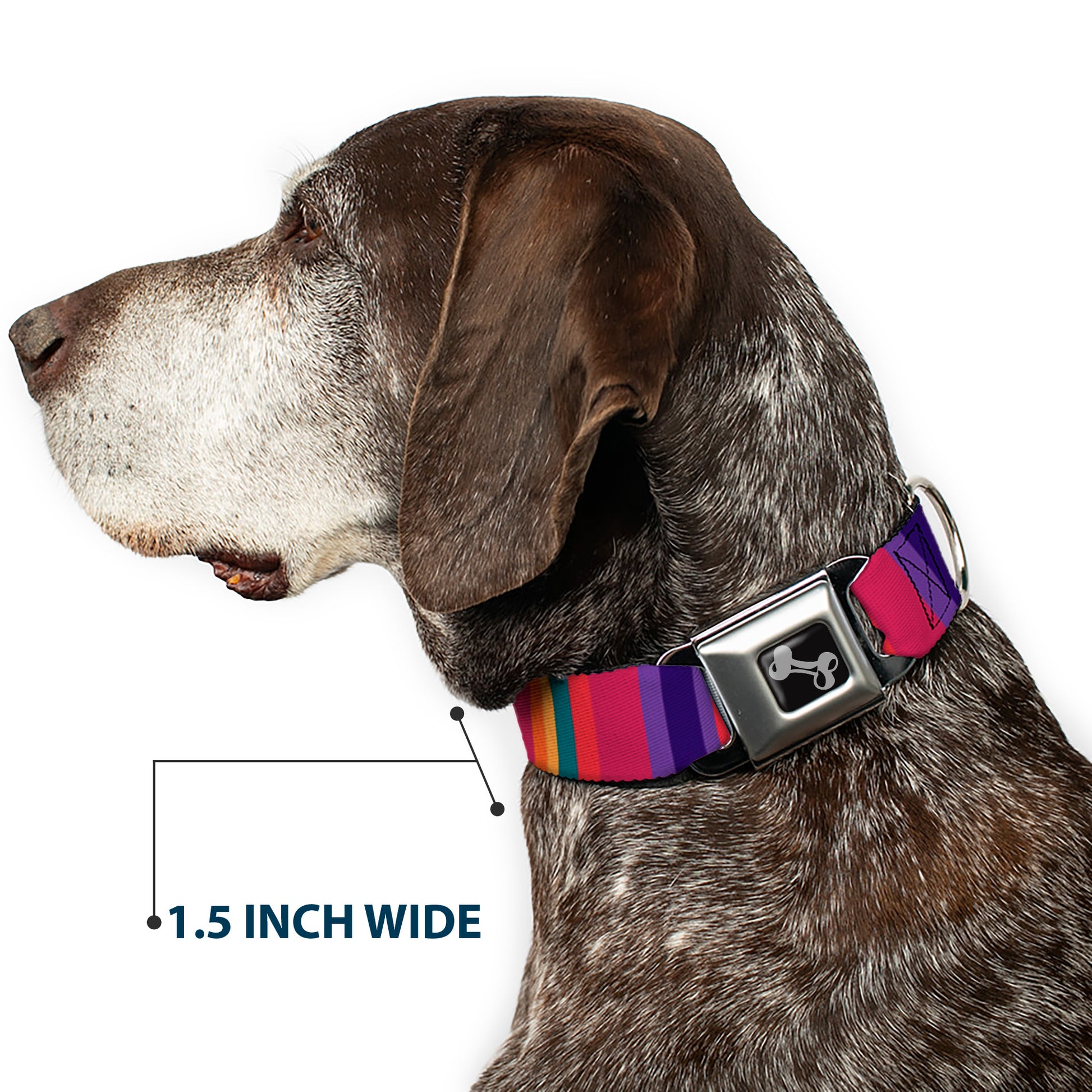 Dog Bone Seatbelt Buckle Collar - Lines Reds/Purples Seatbelt Buckle Collars Buckle-Down