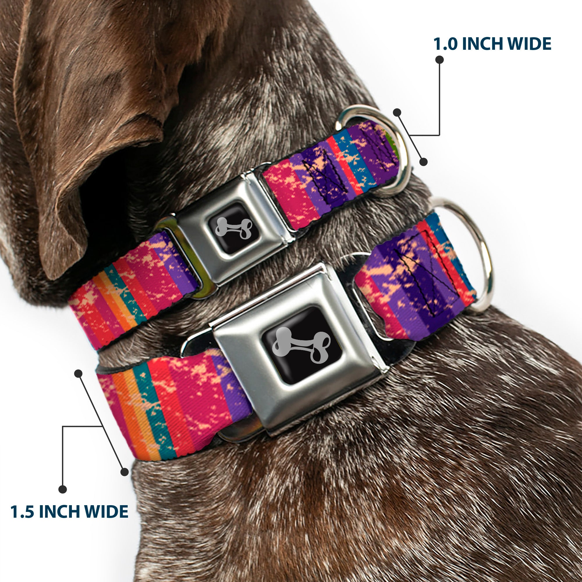 Dog Bone Seatbelt Buckle Collar - Lines Weathered Reds/Purples Seatbelt Buckle Collars Buckle-Down