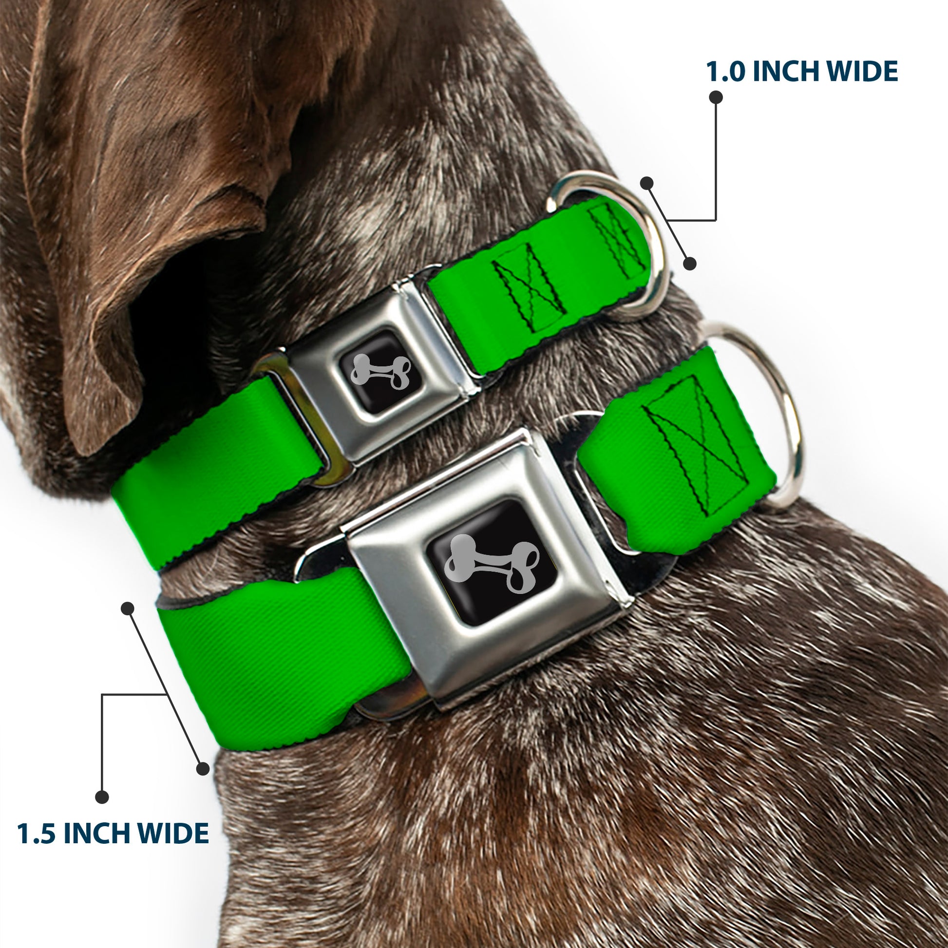 Dog Bone Seatbelt Buckle Collar - Lime Green Seatbelt Buckle Collars Buckle-Down