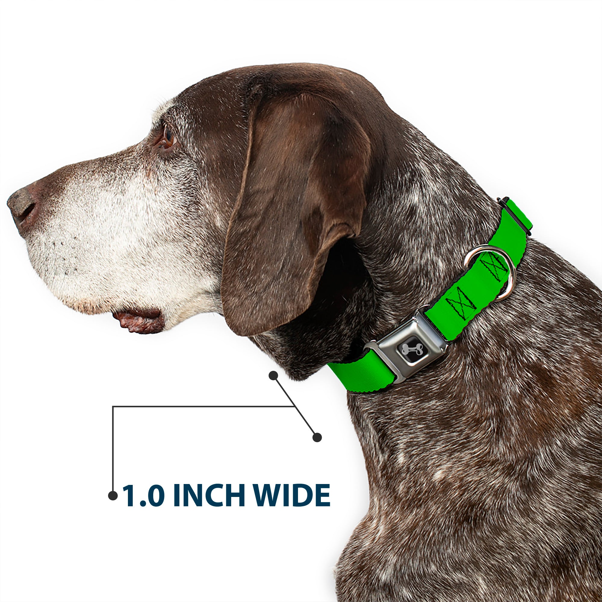 Dog Bone Seatbelt Buckle Collar - Lime Green Seatbelt Buckle Collars Buckle-Down