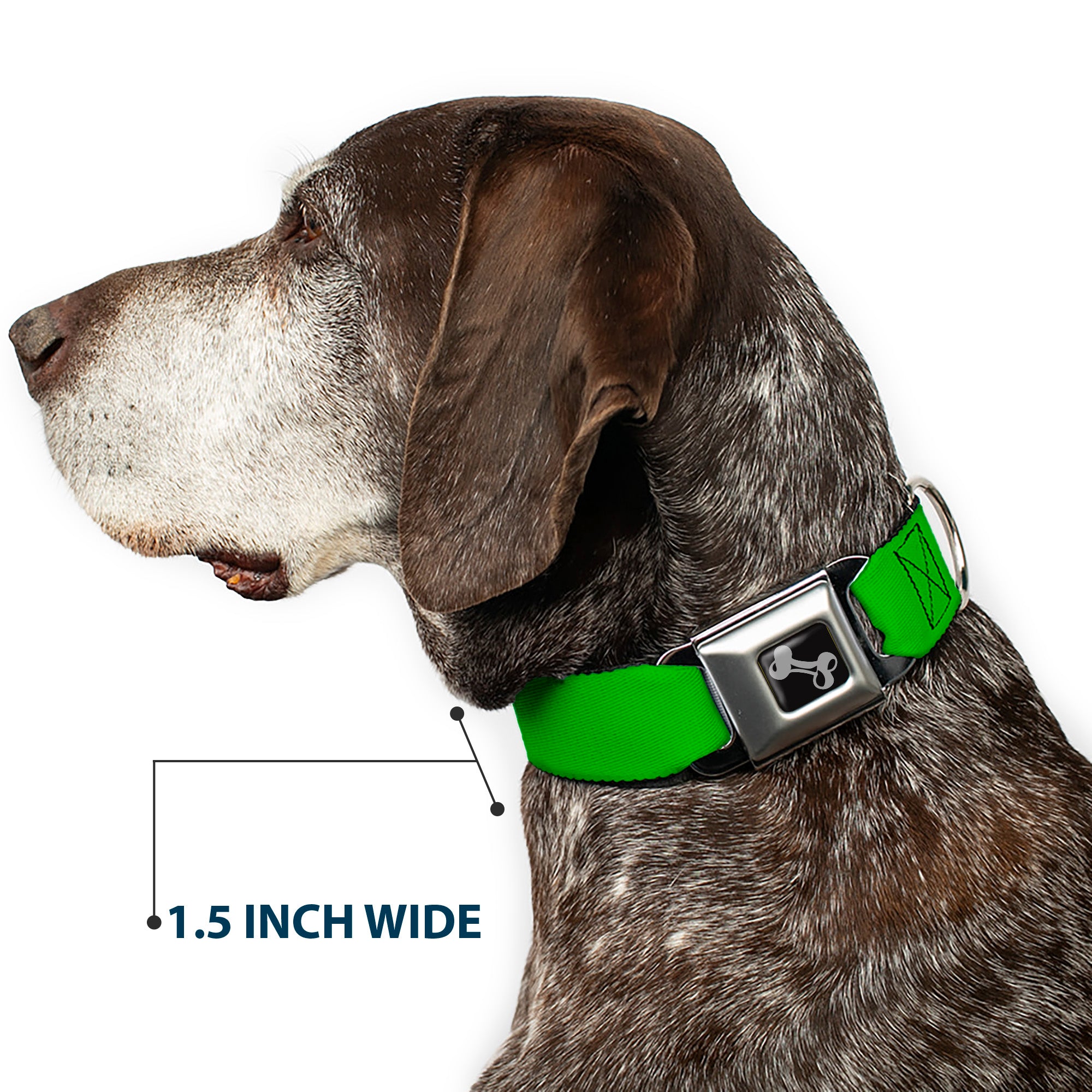 Dog Bone Seatbelt Buckle Collar - Lime Green Seatbelt Buckle Collars Buckle-Down