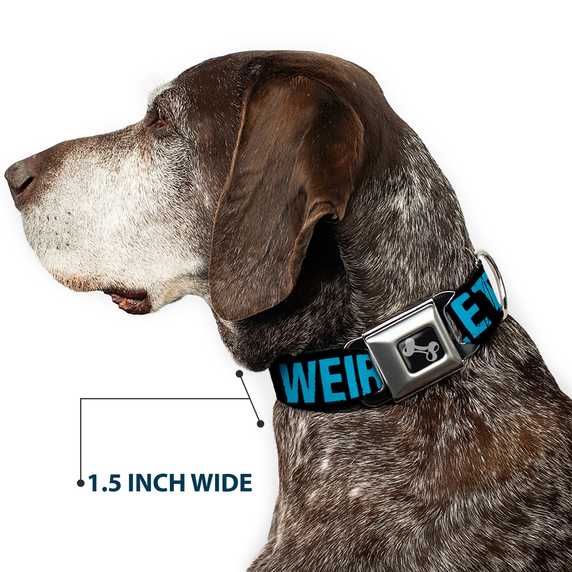 Dog Bone Seatbelt Buckle Collar - LET'S GET WEIRD Weathered Black/Bright Blue Seatbelt Buckle Collars Buckle-Down