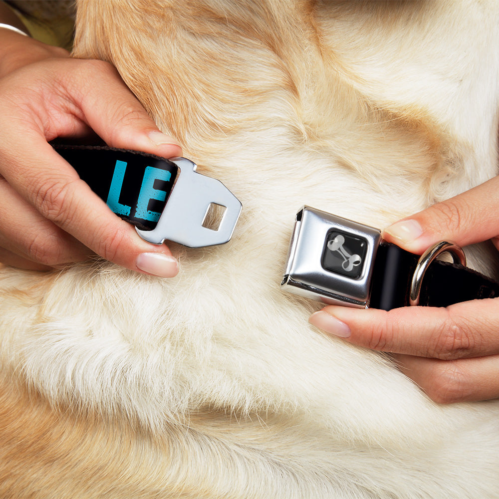 Dog Bone Seatbelt Buckle Collar - LET'S GET WEIRD Weathered Black/Bright Blue Seatbelt Buckle Collars Buckle-Down