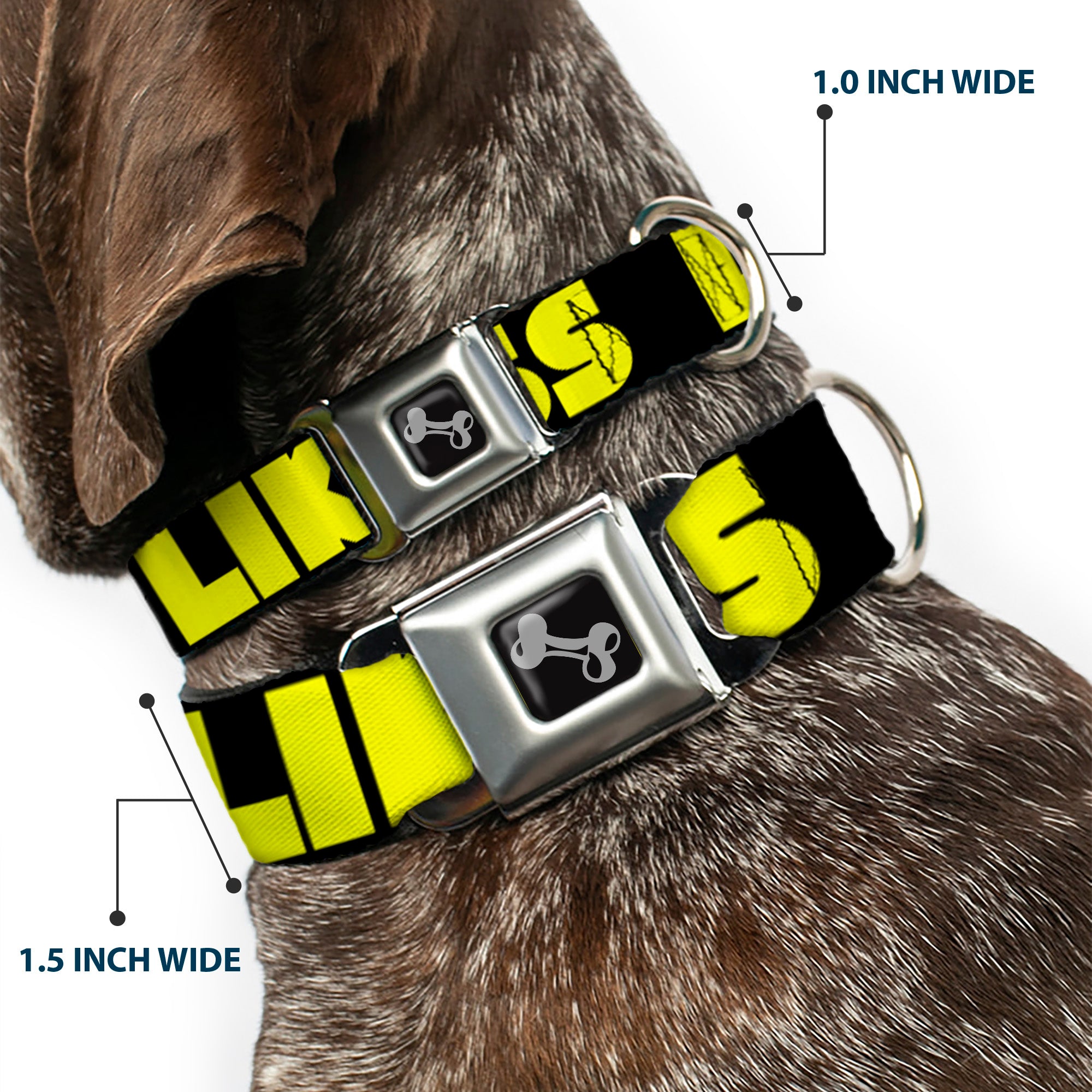 Dog Bone Black/Silver Seatbelt Buckle Collar - LIKE A BOSS Black/Yellow Seatbelt Buckle Collars Buckle-Down