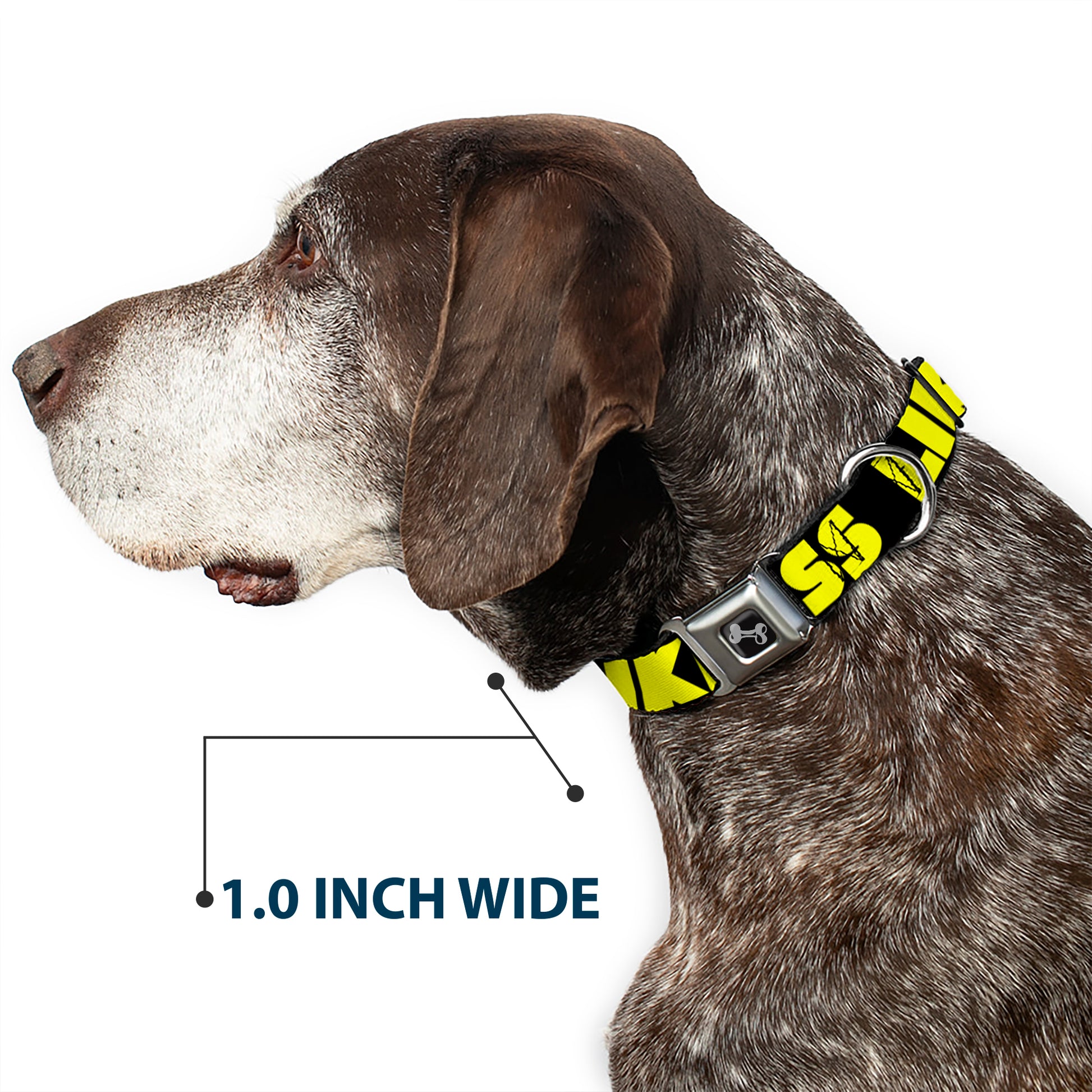 Dog Bone Black/Silver Seatbelt Buckle Collar - LIKE A BOSS Black/Yellow Seatbelt Buckle Collars Buckle-Down
