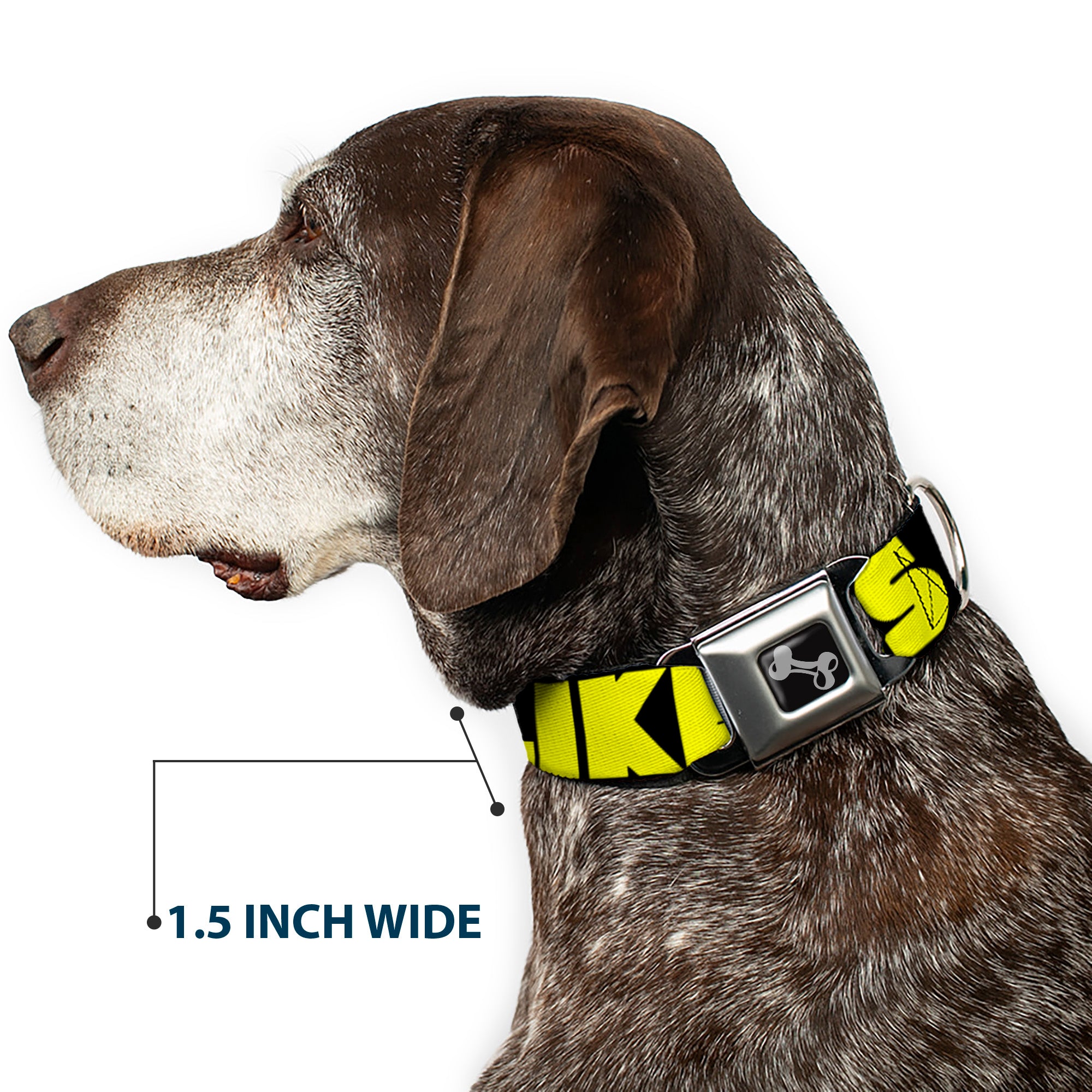 Dog Bone Black/Silver Seatbelt Buckle Collar - LIKE A BOSS Black/Yellow Seatbelt Buckle Collars Buckle-Down