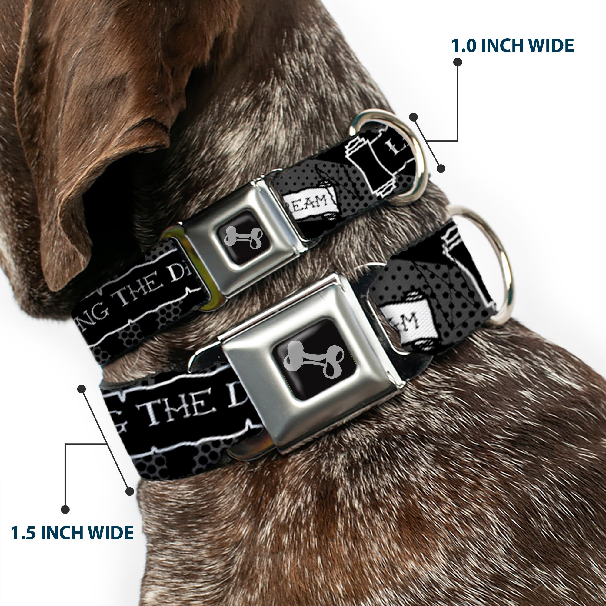 Dog Bone Seatbelt Buckle Collar - LIVING THE DREAM Scroll Gray/Black/White Seatbelt Buckle Collars Buckle-Down