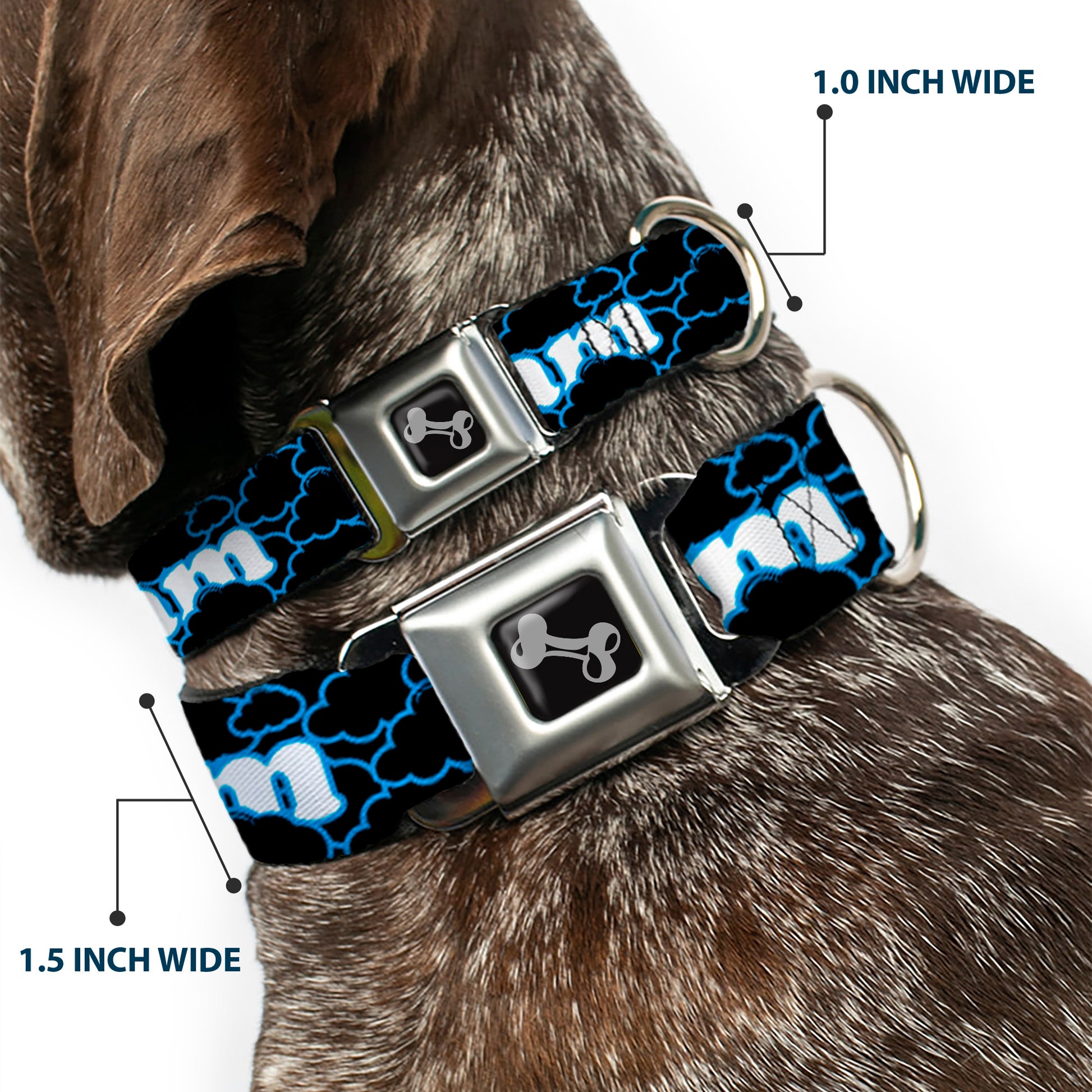 Dog Bone Seatbelt Buckle Collar - LIVING THE DREAM/Clouds Black/Blue/White Seatbelt Buckle Collars Buckle-Down