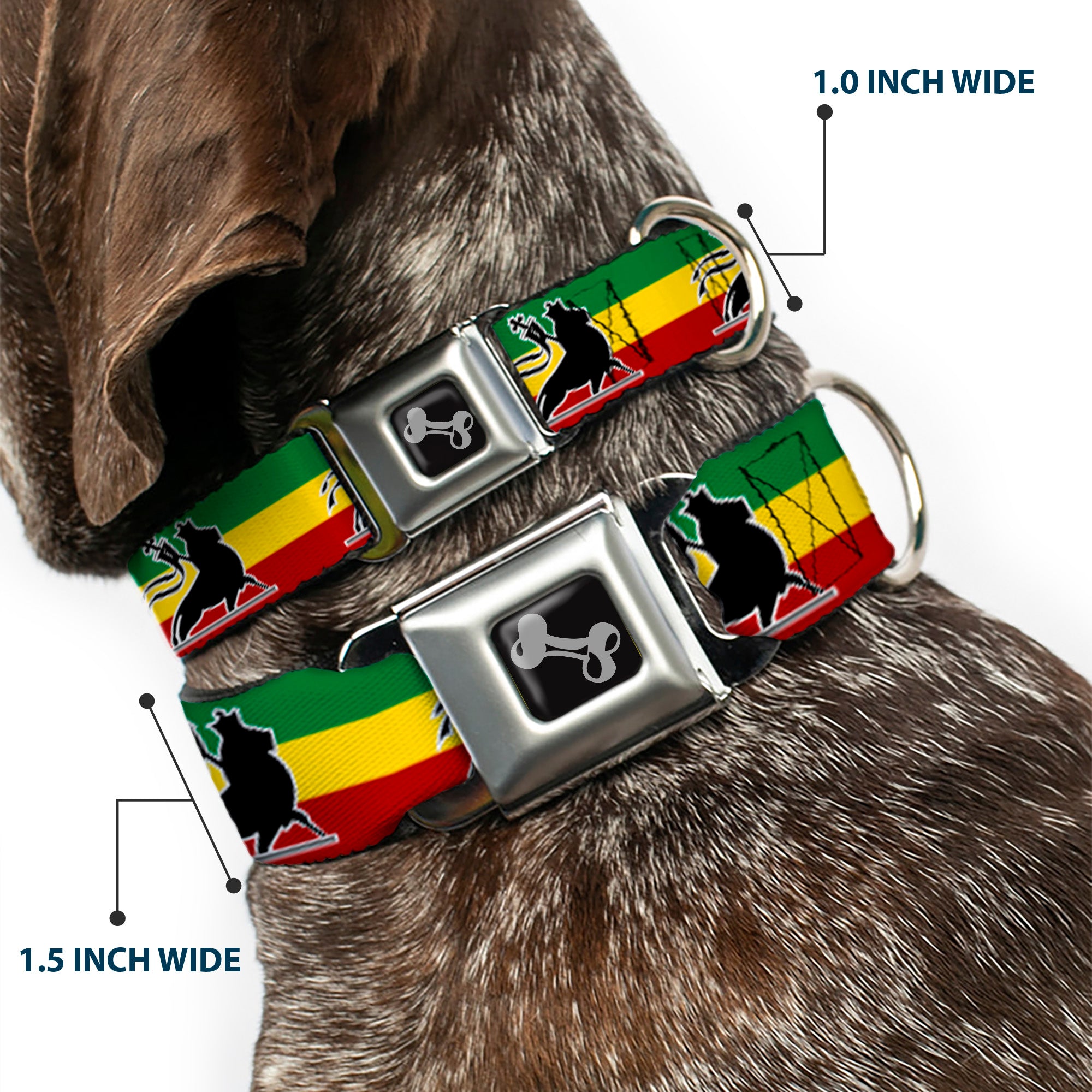 Dog Bone Seatbelt Buckle Collar - Lion of Zion Repeat Seatbelt Buckle Collars Buckle-Down