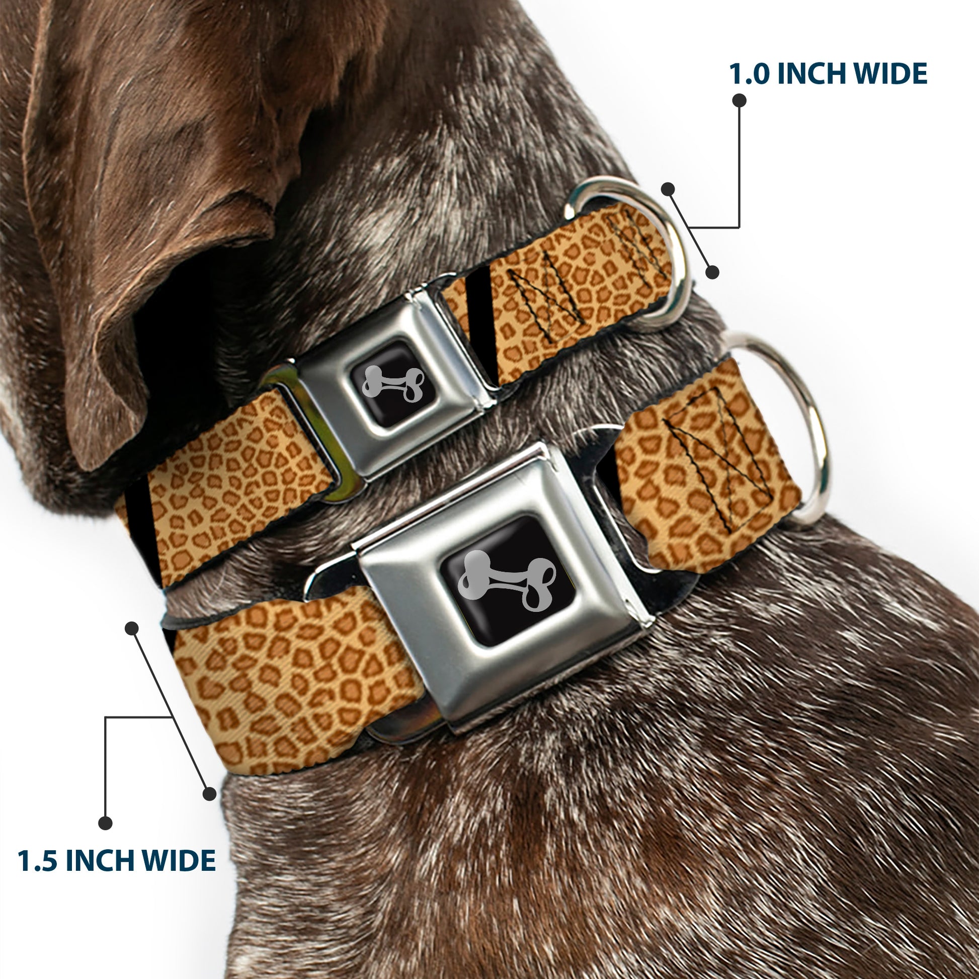 Dog Bone Seatbelt Buckle Collar - Leopard Brown/Black Slash Seatbelt Buckle Collars Buckle-Down