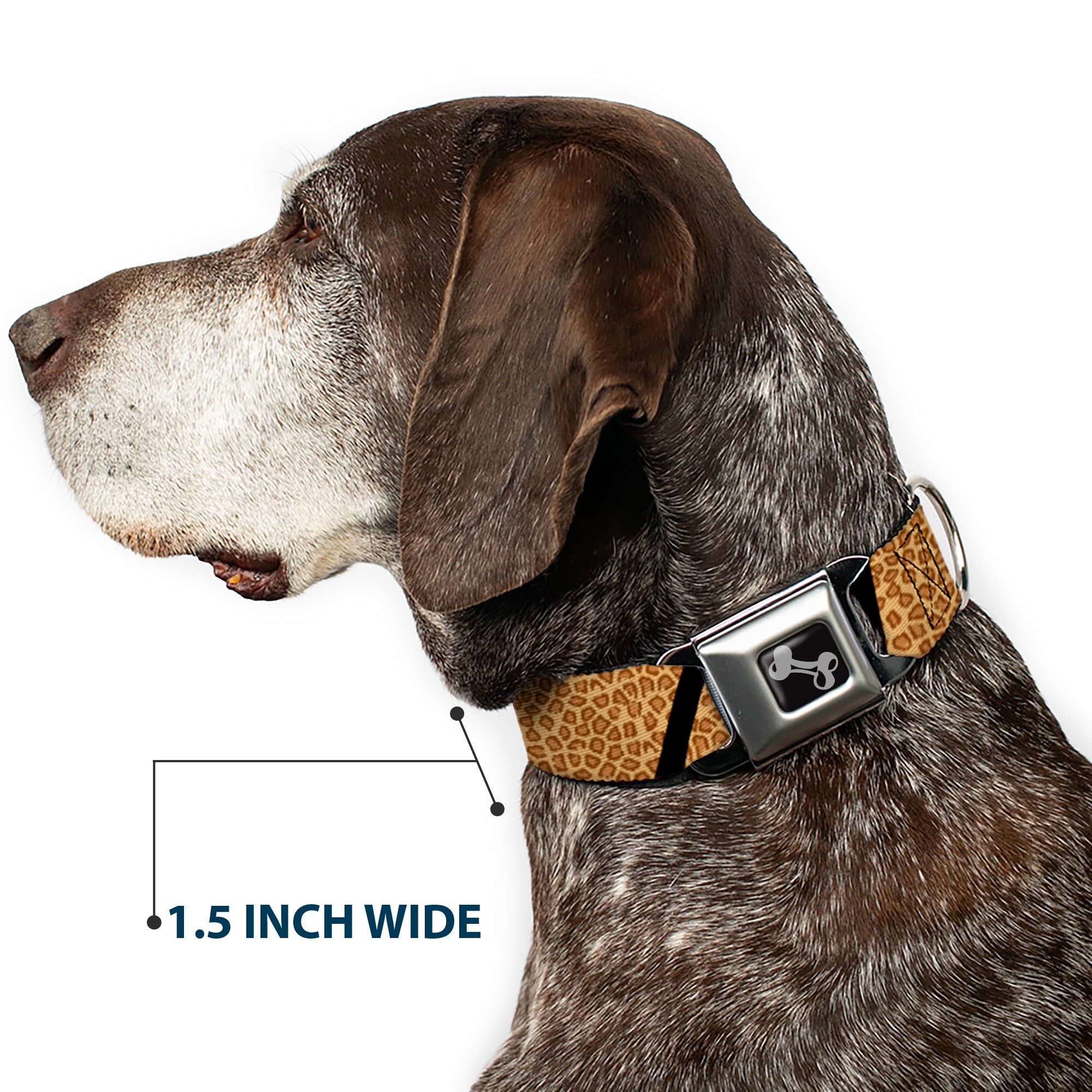 Dog Bone Seatbelt Buckle Collar - Leopard Brown/Black Slash Seatbelt Buckle Collars Buckle-Down