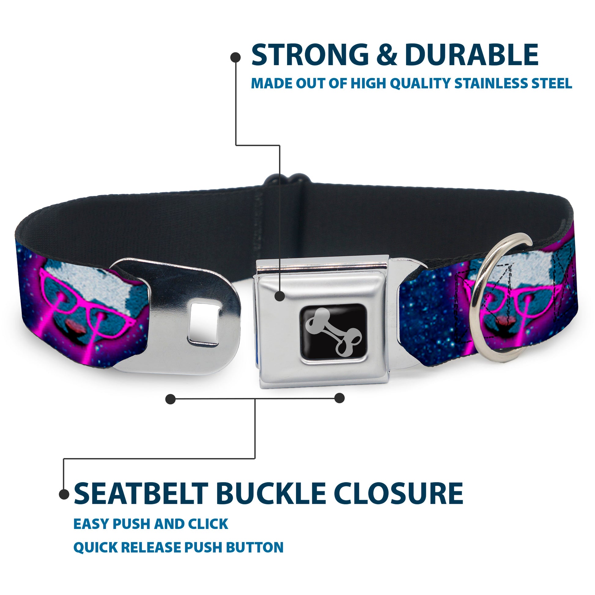 Dog Bone Seatbelt Buckle Collar - Laser Eye Cats in Space Seatbelt Buckle Collars Buckle-Down