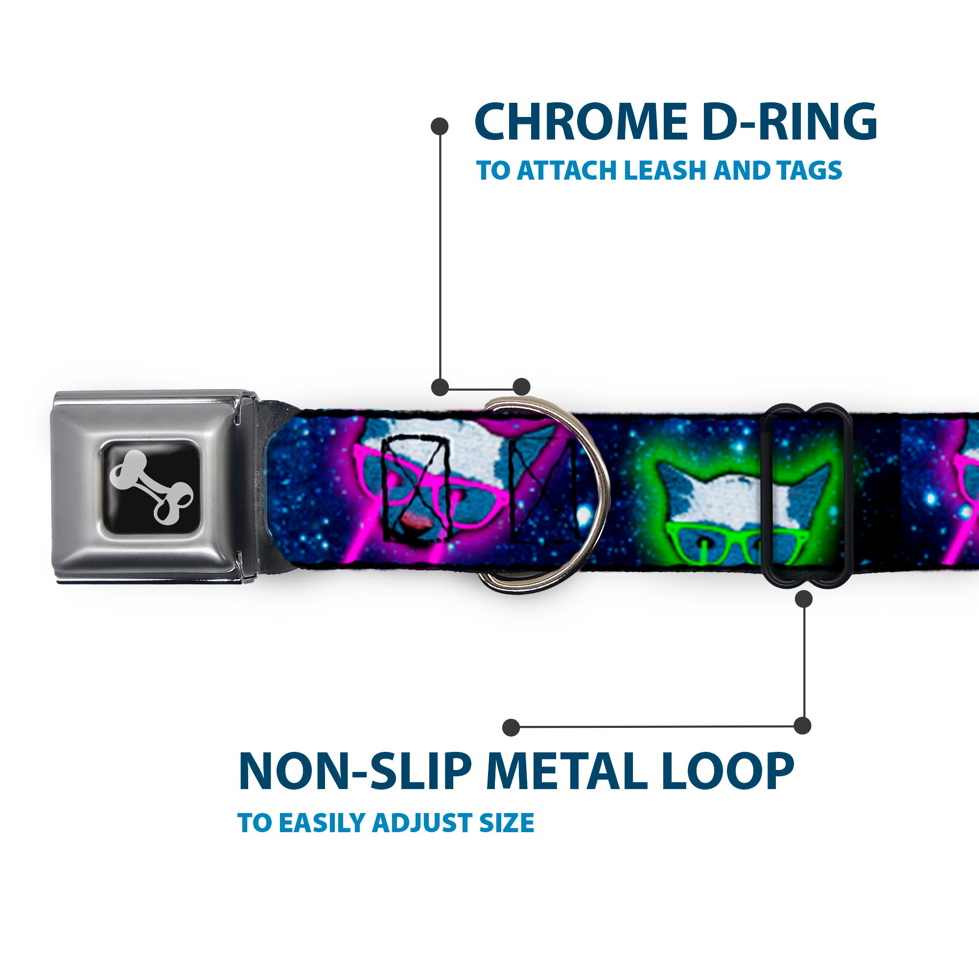 Dog Bone Seatbelt Buckle Collar - Laser Eye Cats in Space Seatbelt Buckle Collars Buckle-Down