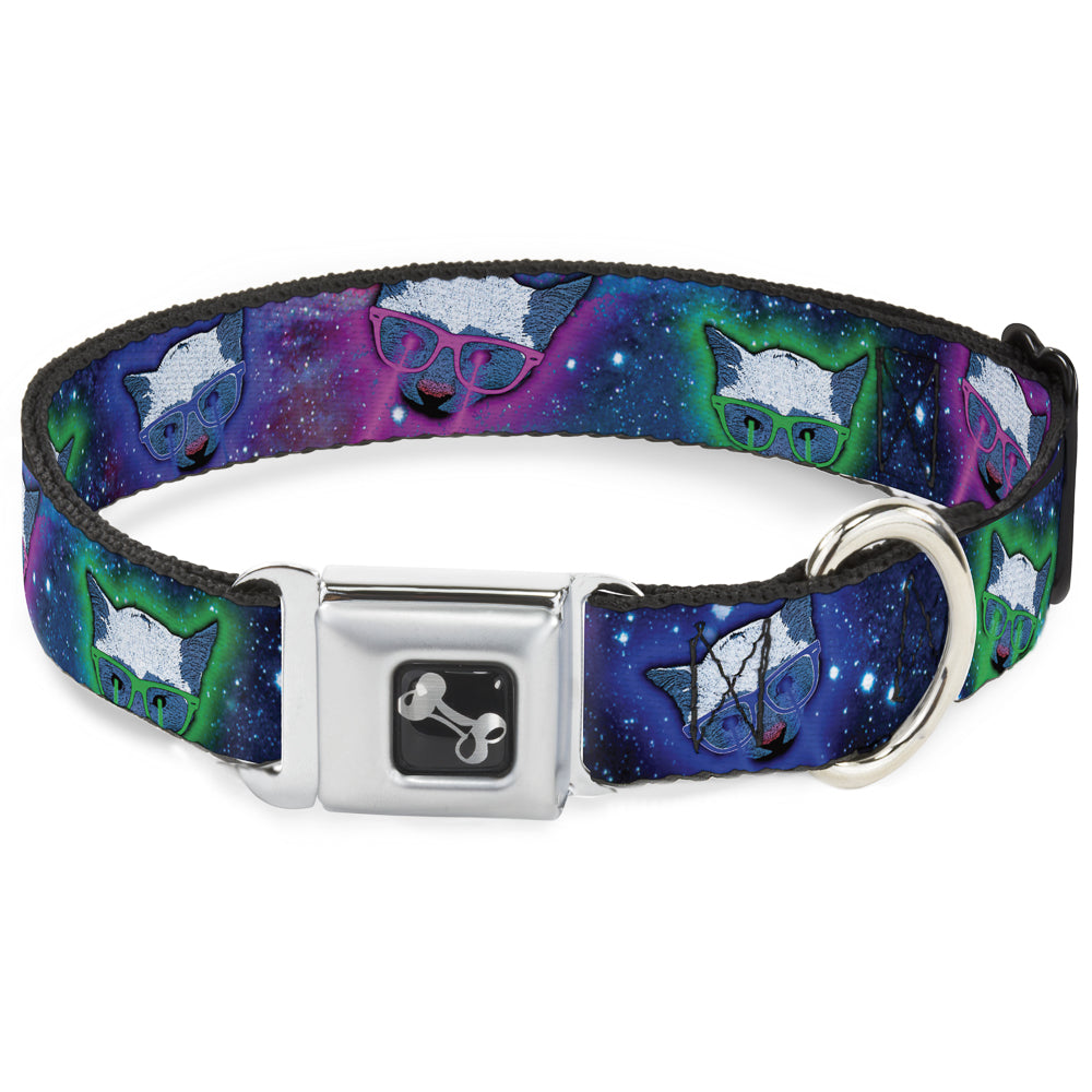 Dog Bone Seatbelt Buckle Collar - Laser Eye Cats in Space Seatbelt Buckle Collars Buckle-Down