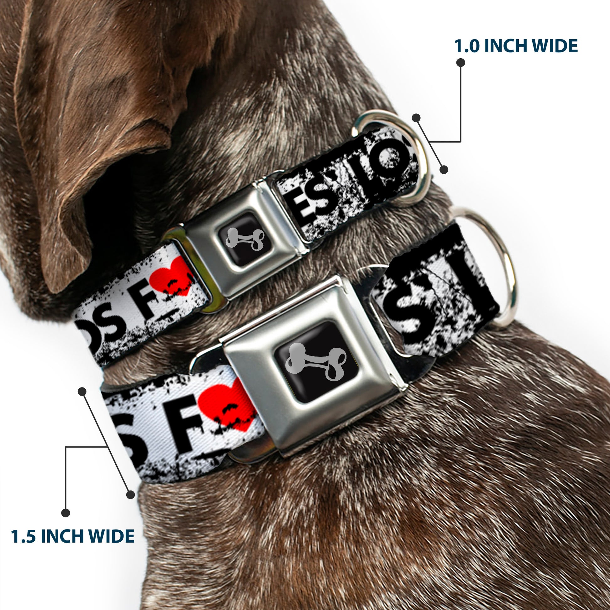 Buckle-Down Seatbelt Buckle Dog Collar - LOS F*CKIN' ANGELES Heart Weathered White/Black/Red Seatbelt Buckle Collars Buckle-Down