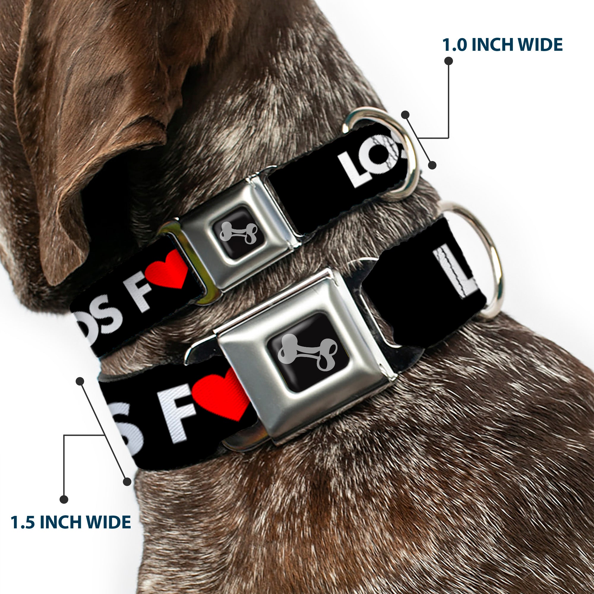 Dog Bone Seatbelt Buckle Collar - LOS F*CKIN' ANGELES Heart Black/White/Red Seatbelt Buckle Collars Buckle-Down