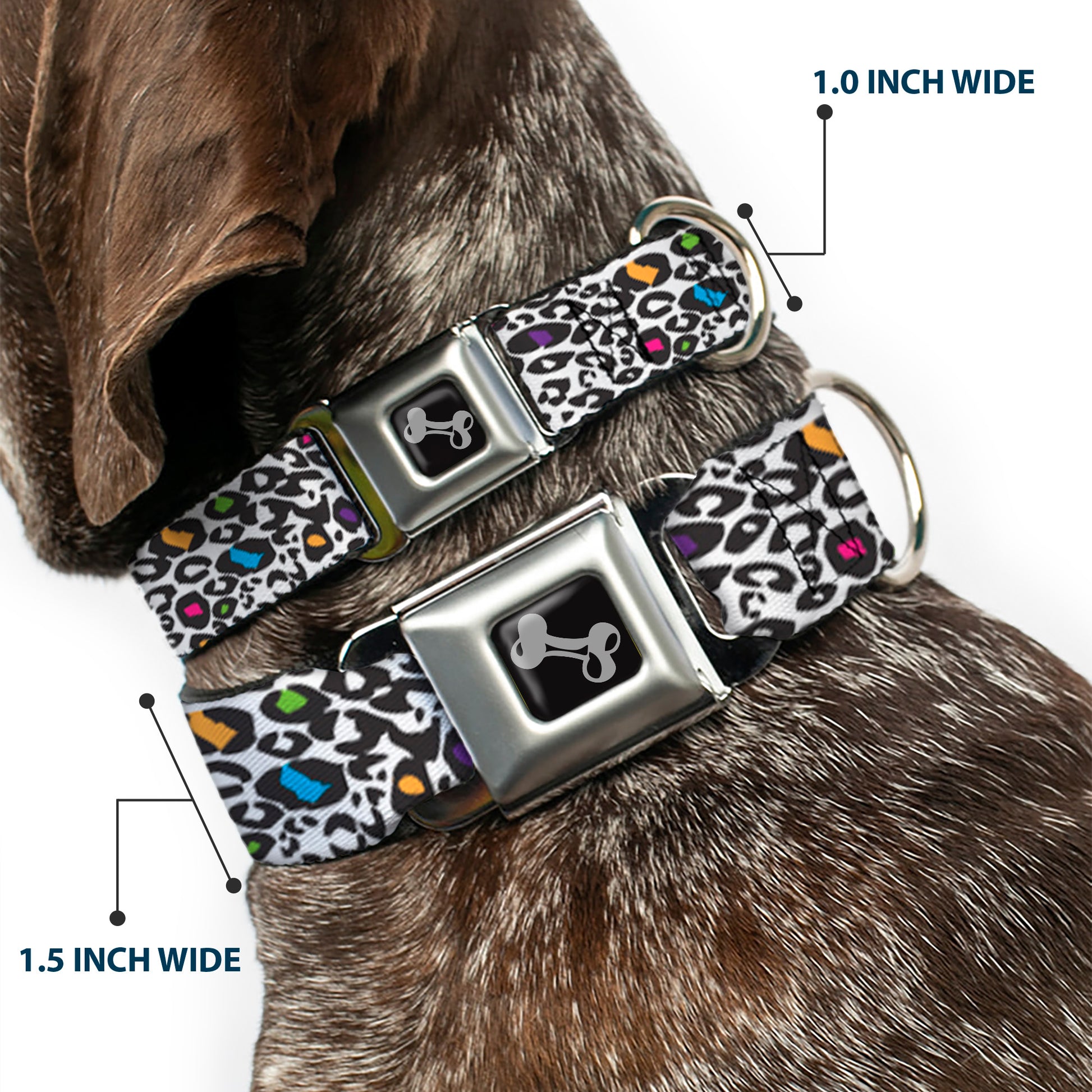 Dog Bone Seatbelt Buckle Collar - Leopard White/Black/Multi Color Seatbelt Buckle Collars Buckle-Down