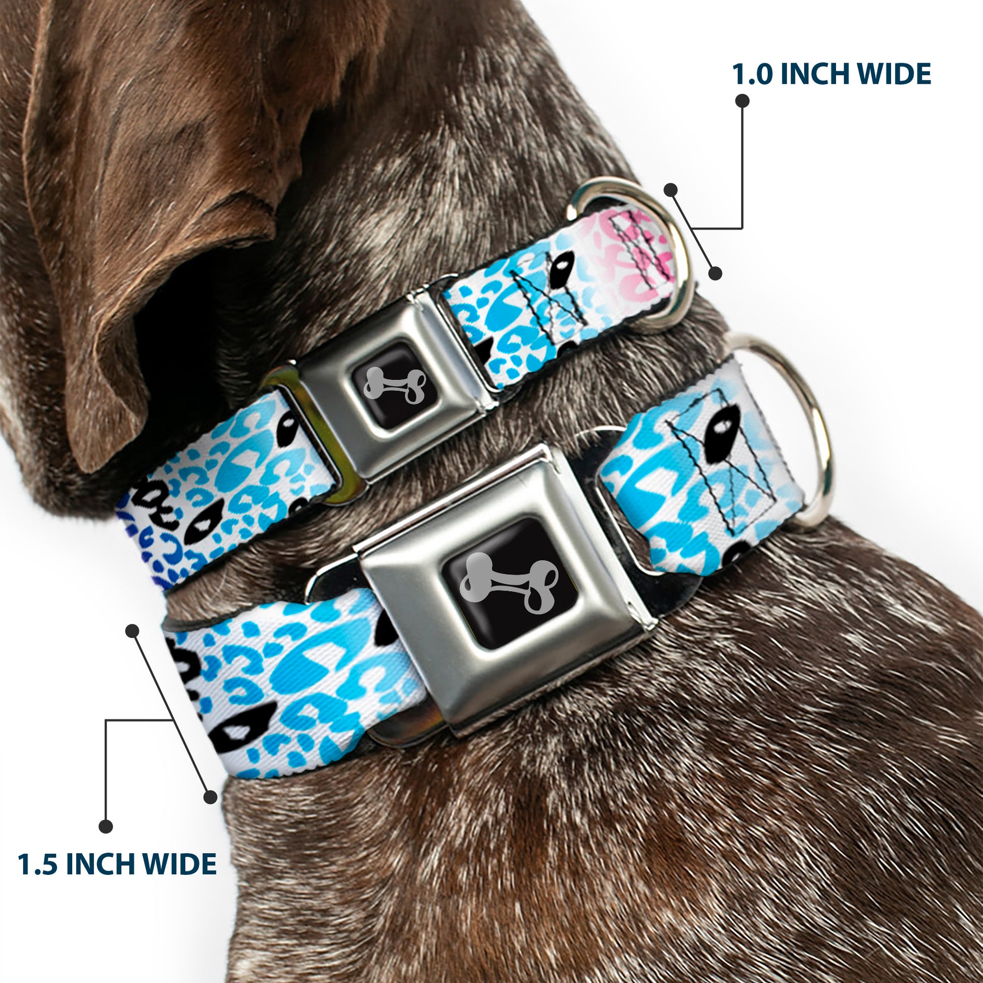 Dog Bone Seatbelt Buckle Collar - Leopard White/Pinks/Blues/Black Seatbelt Buckle Collars Buckle-Down