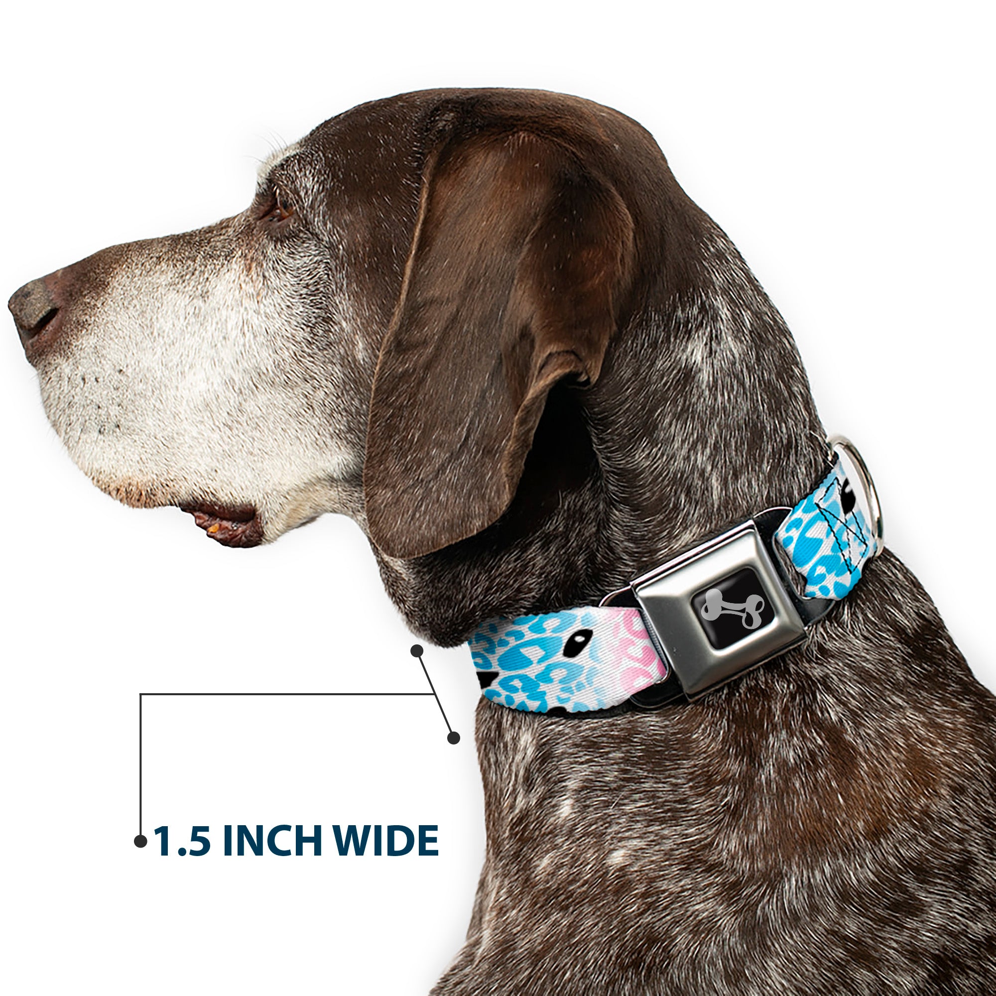 Dog Bone Seatbelt Buckle Collar - Leopard White/Pinks/Blues/Black Seatbelt Buckle Collars Buckle-Down