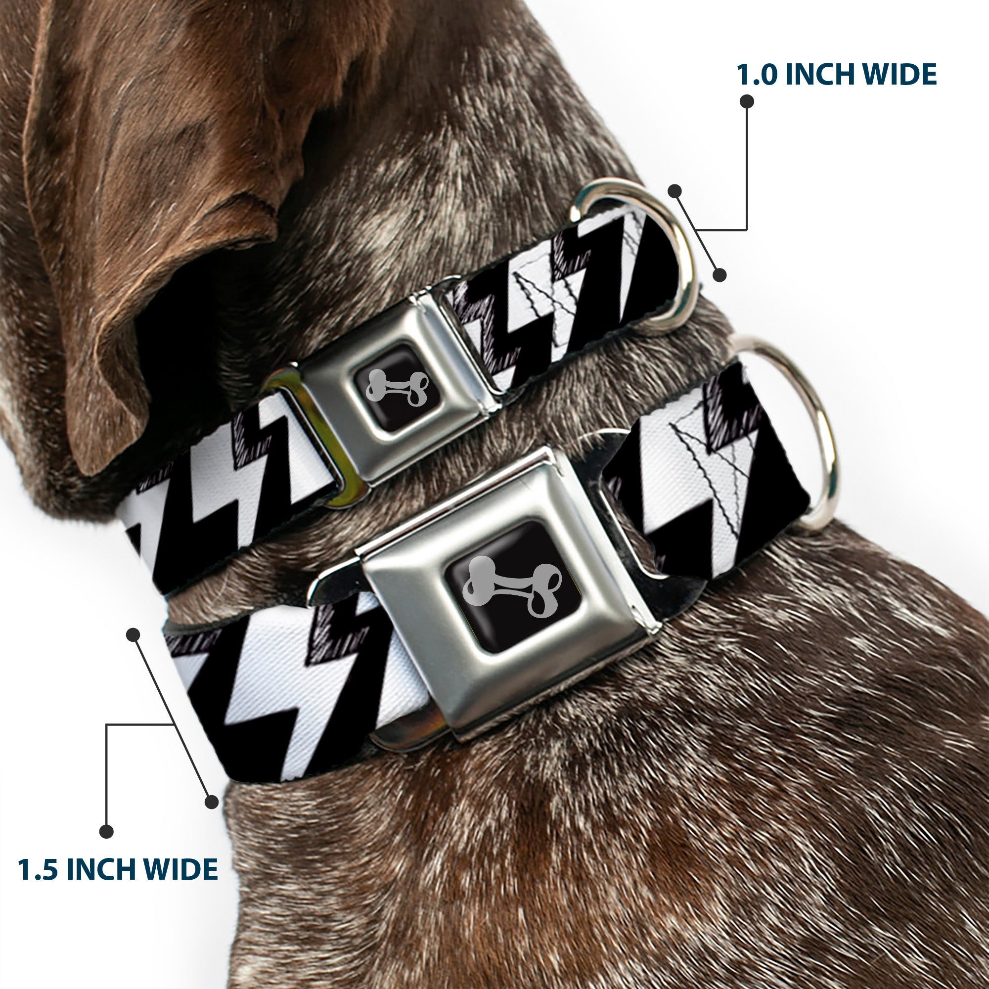 Dog Bone Seatbelt Buckle Collar - Lightning Bolts Sketch Black/White Seatbelt Buckle Collars Buckle-Down