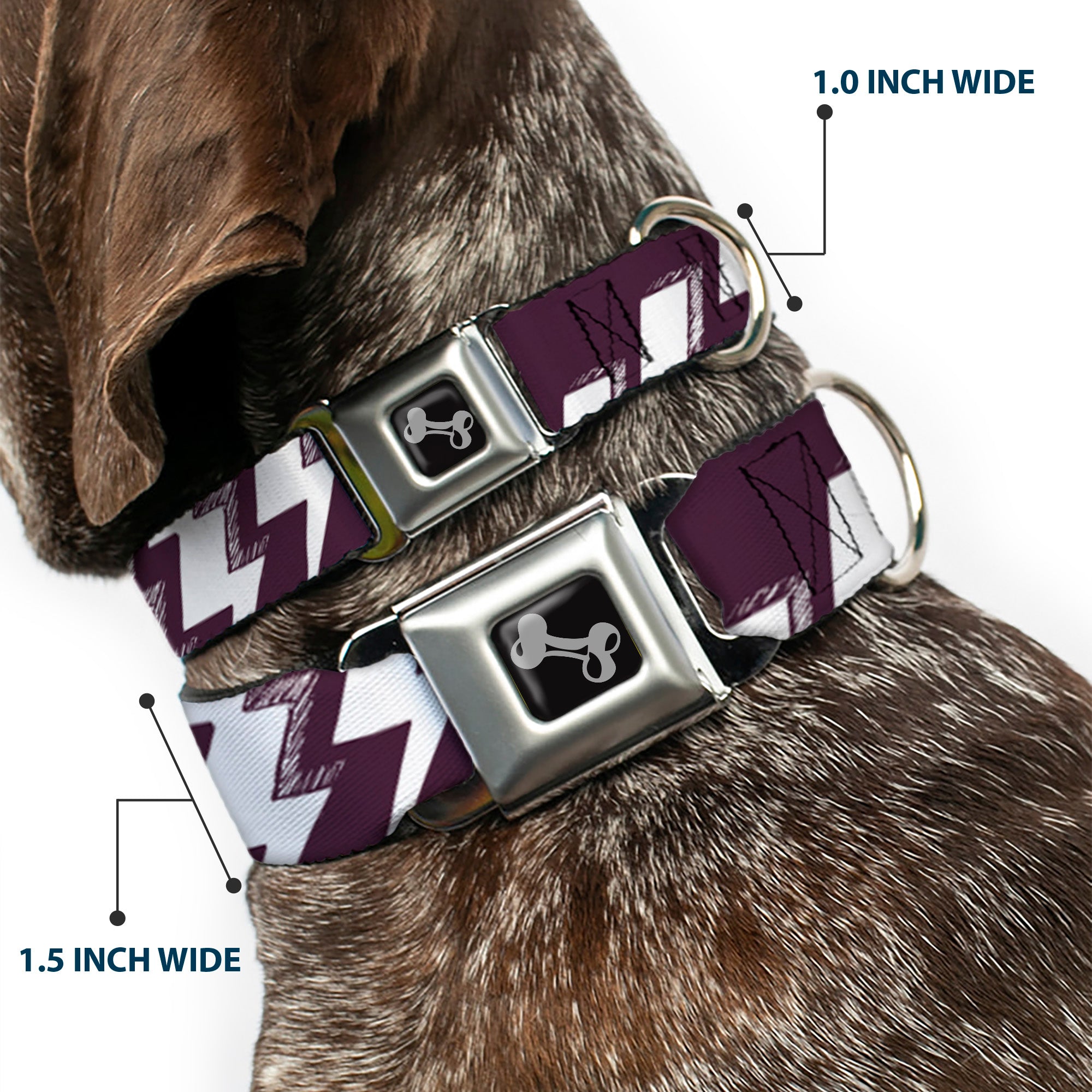Dog Bone Seatbelt Buckle Collar - Lightning Bolts Sketch Plum/White Seatbelt Buckle Collars Buckle-Down