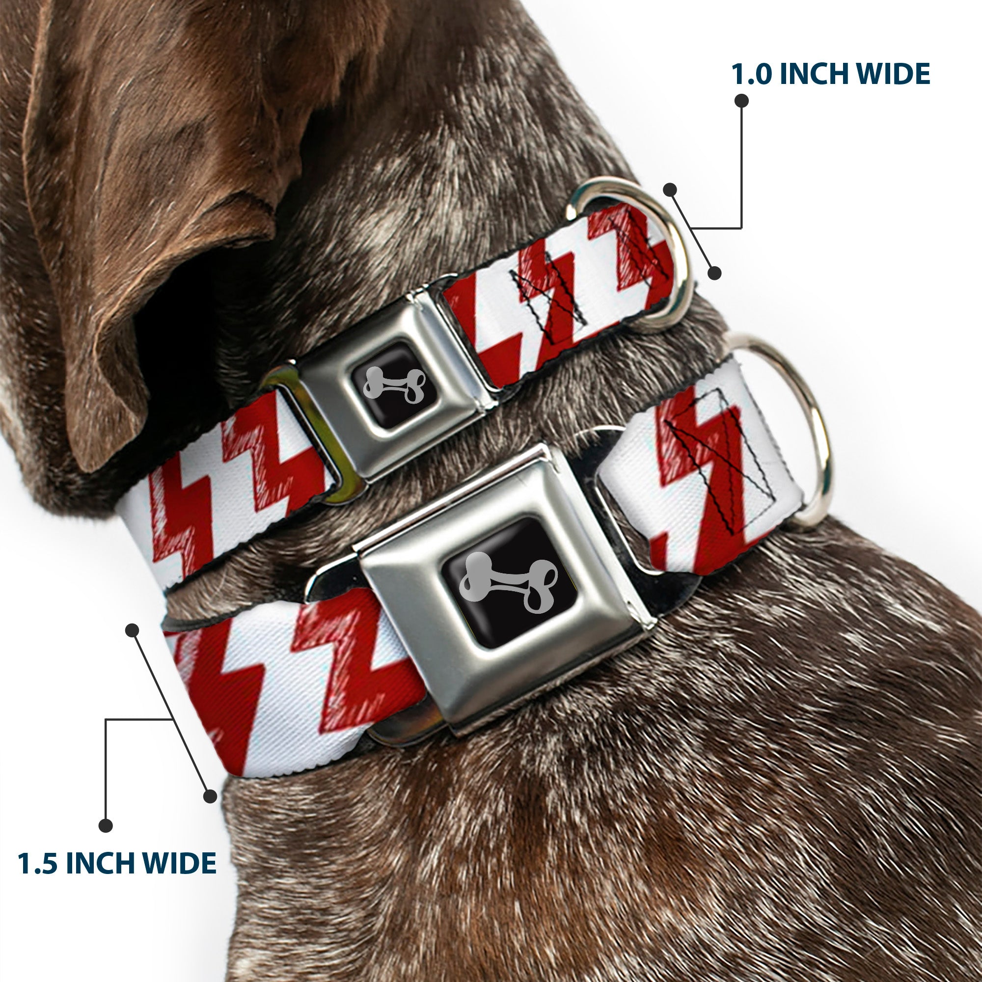 Dog Bone Seatbelt Buckle Collar - Lightning Bolts Sketch Red/White Seatbelt Buckle Collars Buckle-Down