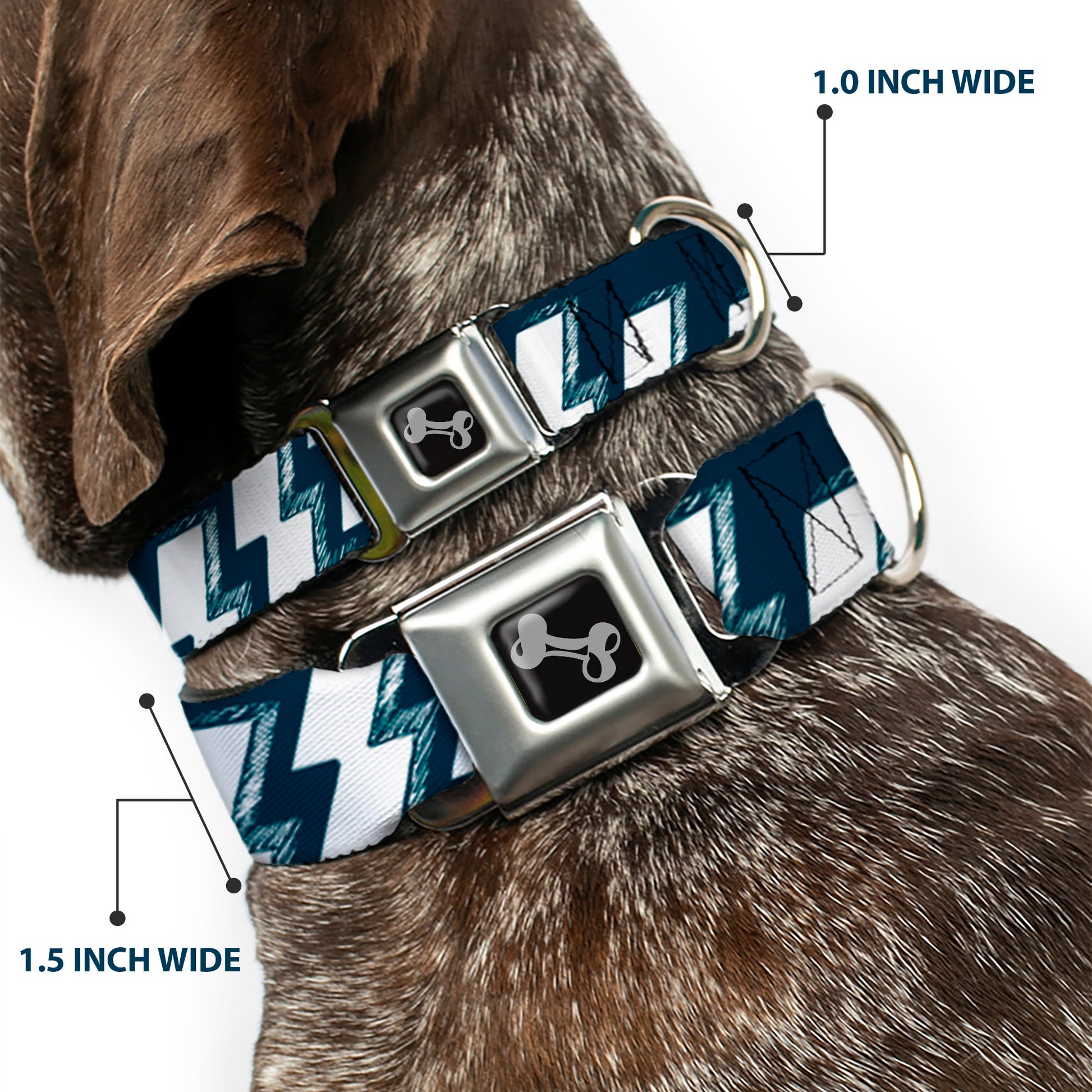 Dog Bone Seatbelt Buckle Collar - Lightning Bolts Sketch Navy/White Seatbelt Buckle Collars Buckle-Down