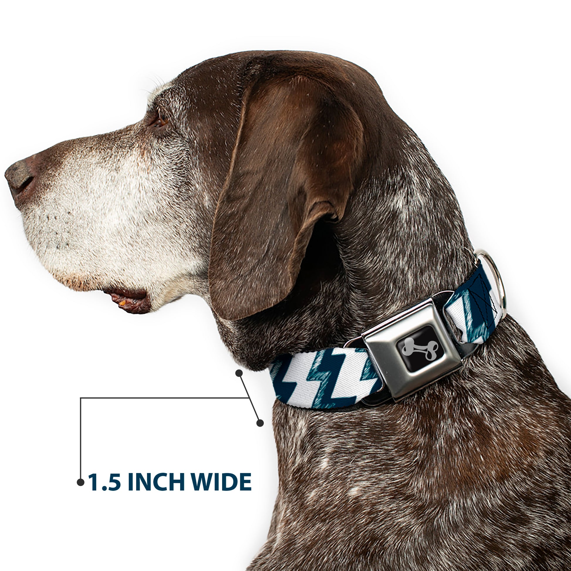 Dog Bone Seatbelt Buckle Collar - Lightning Bolts Sketch Navy/White Seatbelt Buckle Collars Buckle-Down