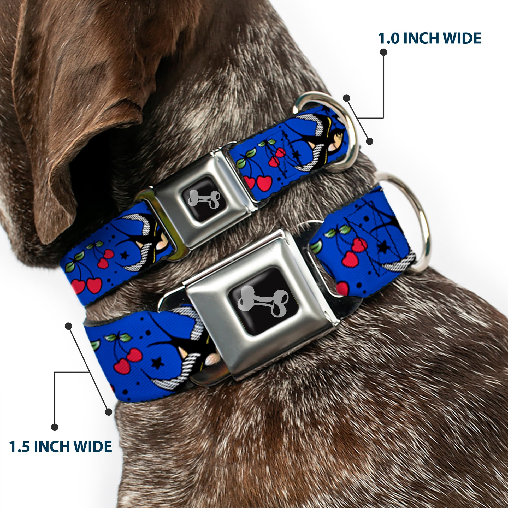 Dog Bone Seatbelt Buckle Collar - Lucky CLOSE-UP Blue Seatbelt Buckle Collars Buckle-Down