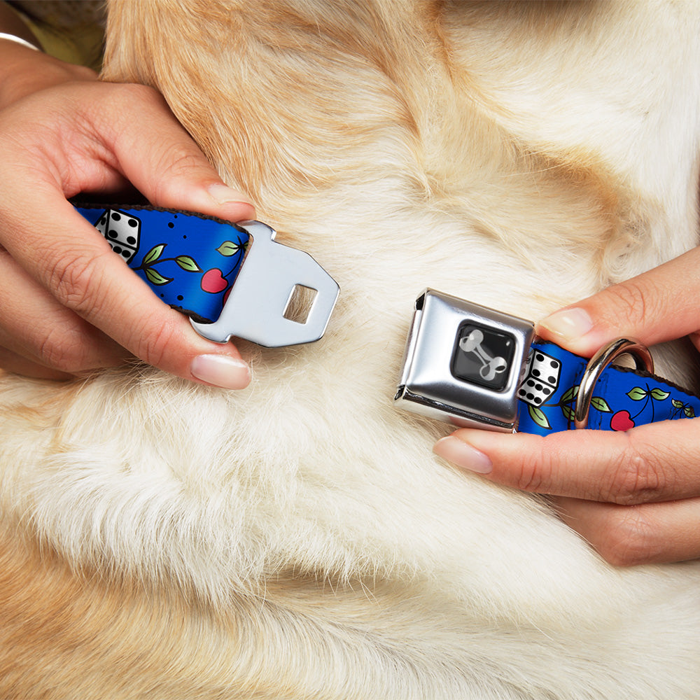 Dog Bone Seatbelt Buckle Collar - Lucky CLOSE-UP Blue Seatbelt Buckle Collars Buckle-Down