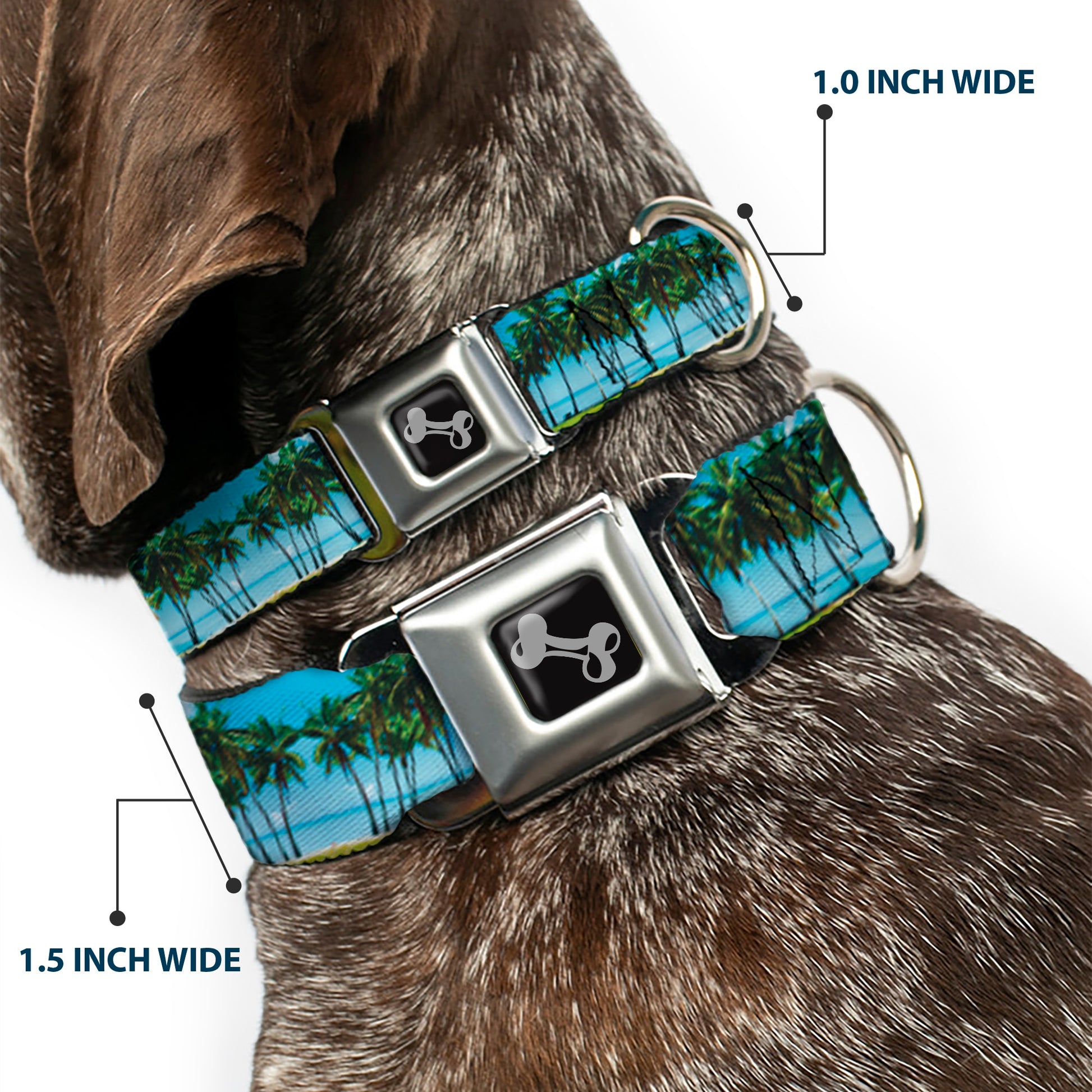 Dog Bone Seatbelt Buckle Collar - Landscape Beach Palm Trees Seatbelt Buckle Collars Buckle-Down