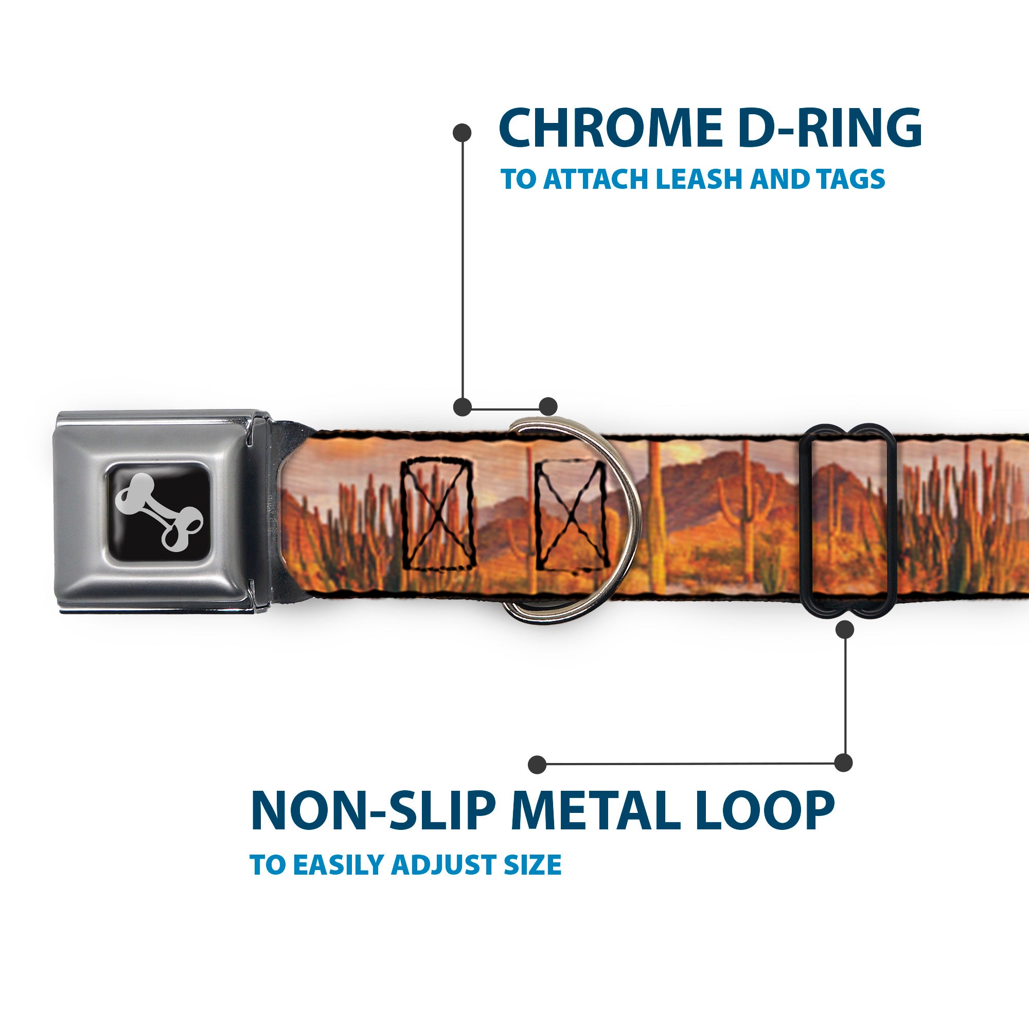 Dog Bone Seatbelt Buckle Collar - Landscape Desert Cacti Seatbelt Buckle Collars Buckle-Down