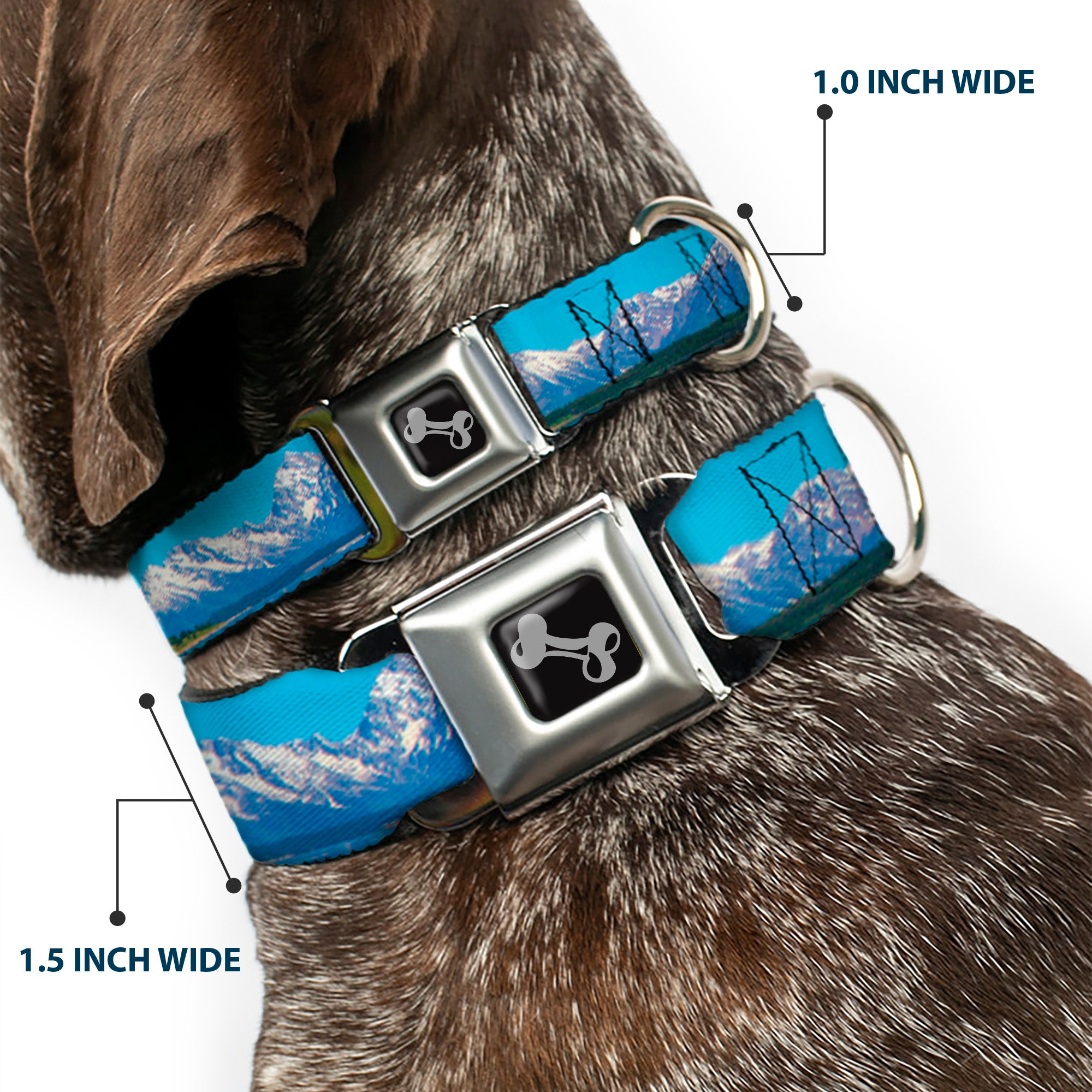 Dog Bone Seatbelt Buckle Collar - Landscape Snowy Mountains Seatbelt Buckle Collars Buckle-Down