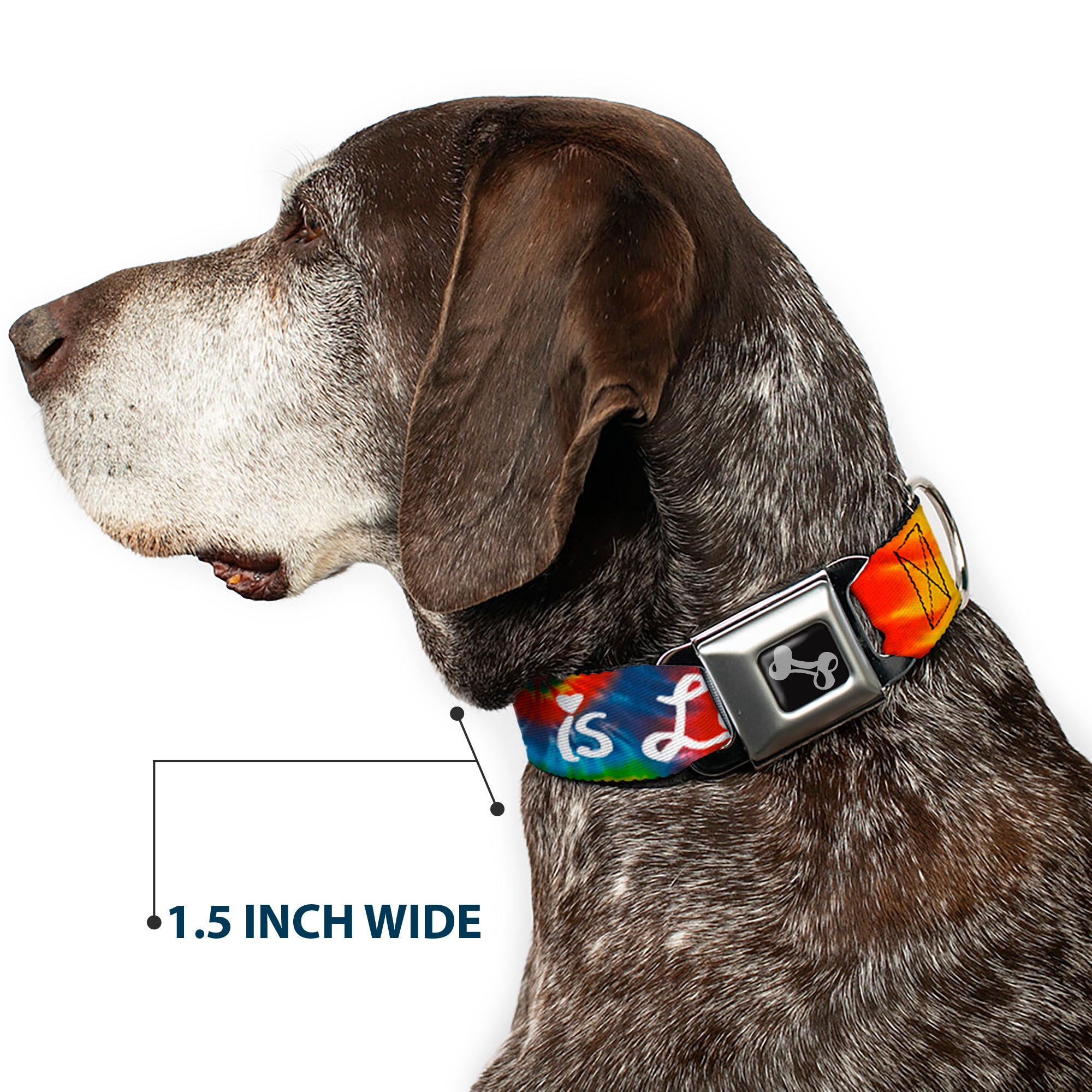 Dog Bone Seatbelt Buckle Collar - LOVE IS LOVE BD Tie Dye/White Seatbelt Buckle Collars Buckle-Down