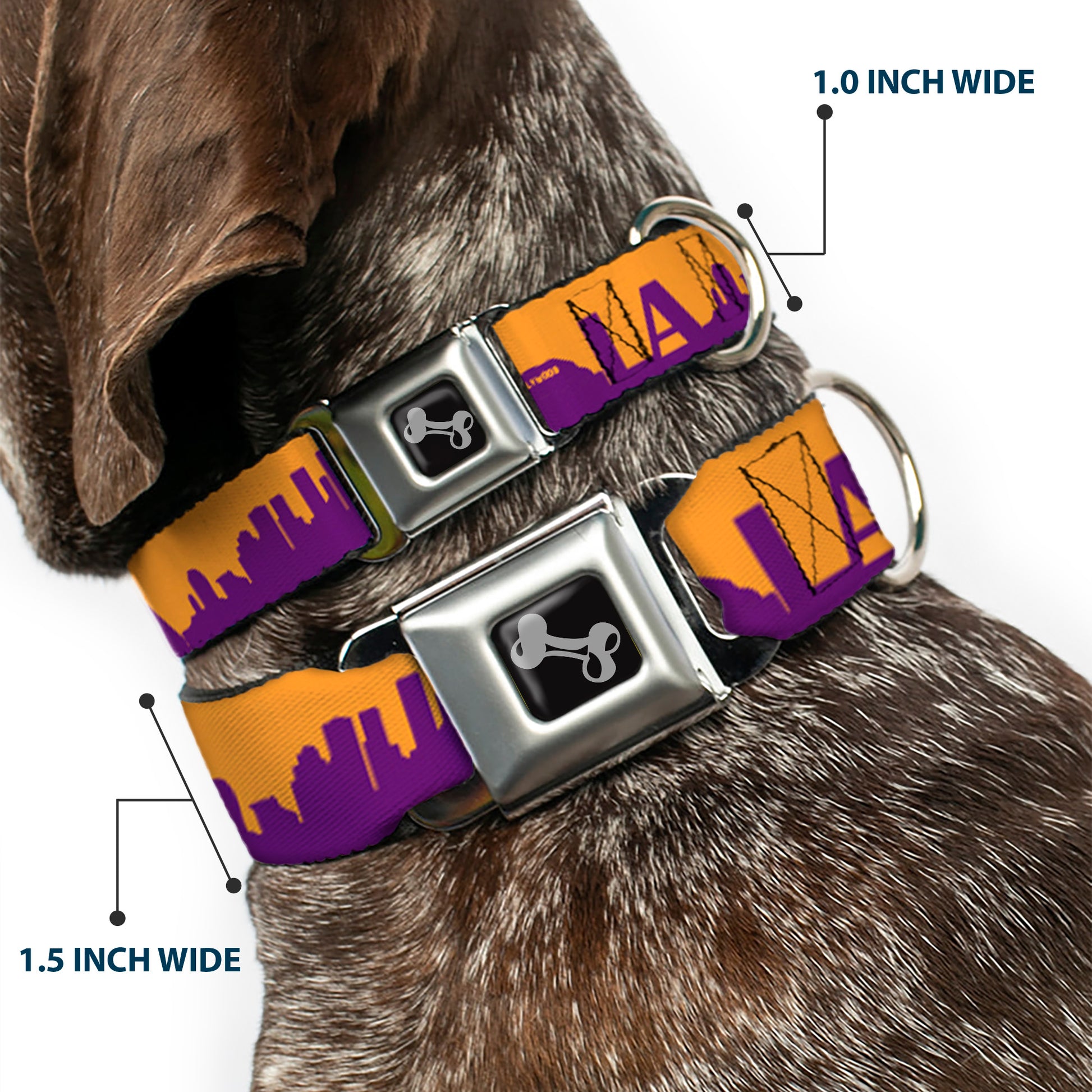 Dog Bone Black/Silver Seatbelt Buckle Collar - Los Angeles Solid Skyline/LA Gold/Purple Seatbelt Buckle Collars Buckle-Down
